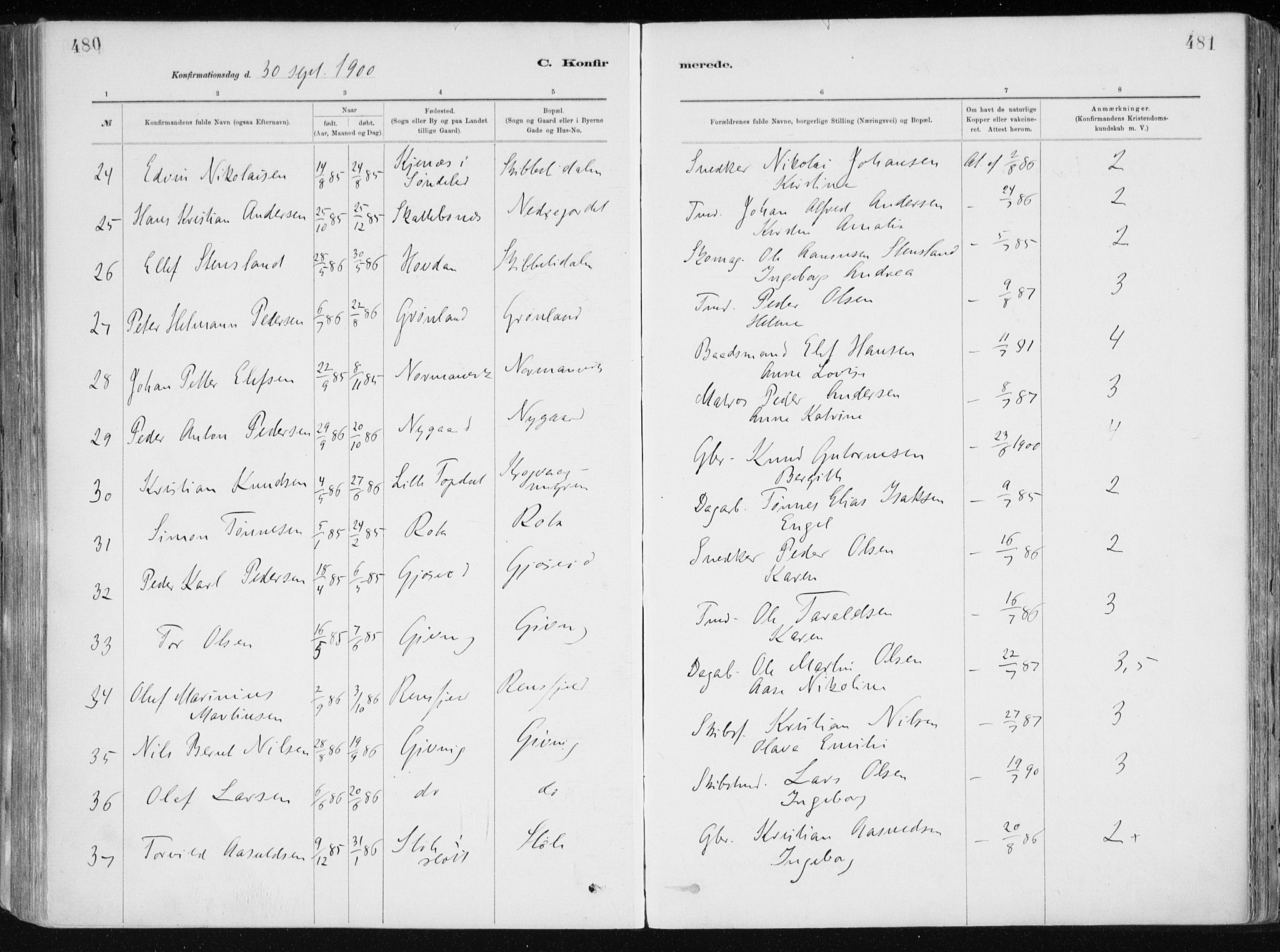 Dypvåg sokneprestkontor, AV/SAK-1111-0007/F/Fa/Faa/L0008: Parish register (official) no. A 8, 1885-1906, p. 480-481