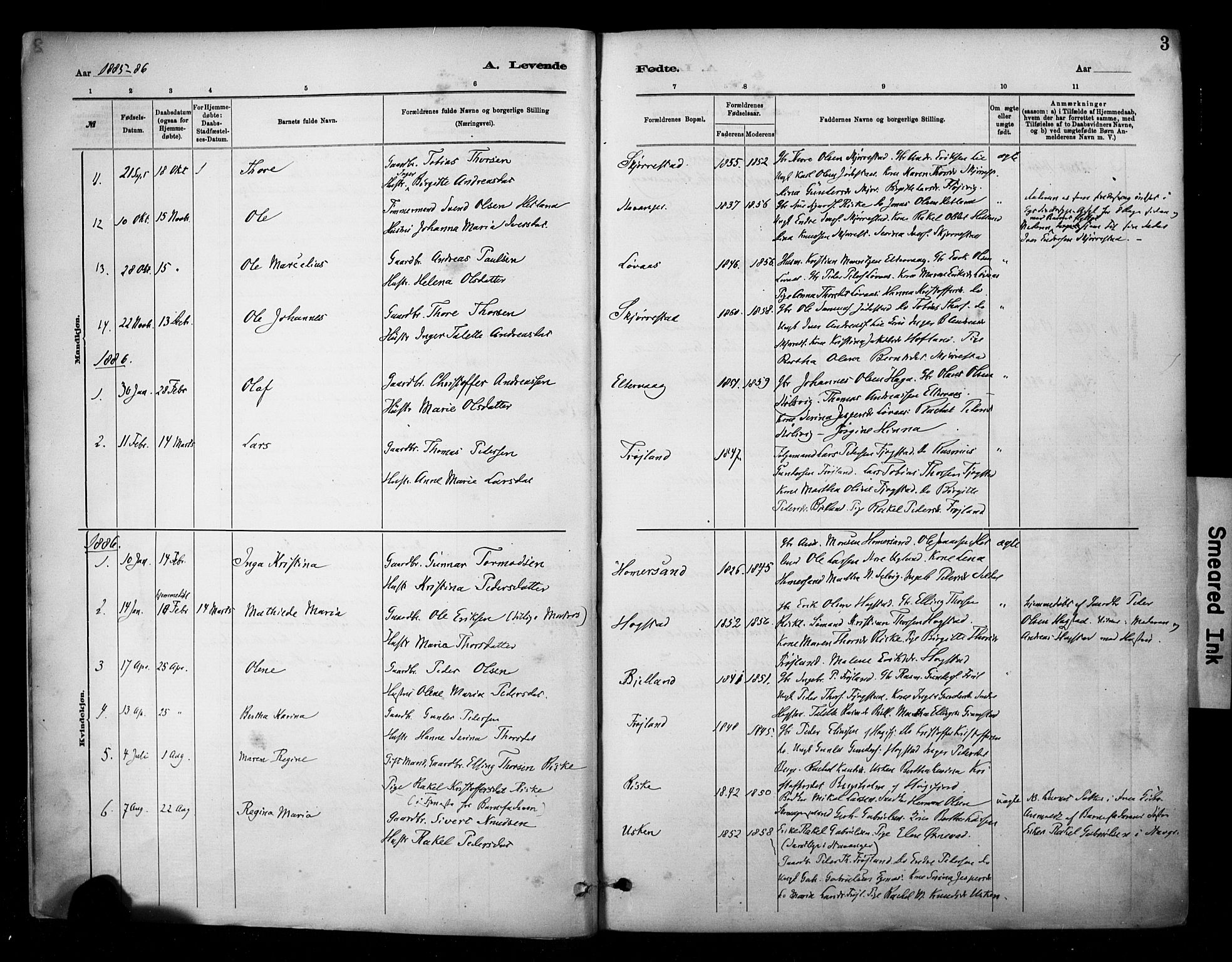 Hetland sokneprestkontor, SAST/A-101826/30/30BA/L0010: Parish register (official) no. A 10, 1882-1925, p. 3