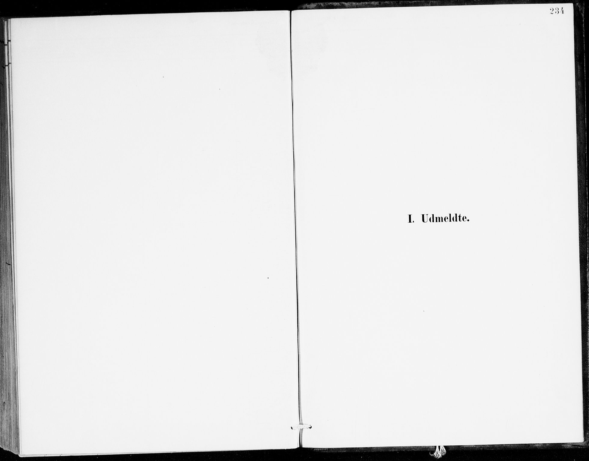 Lavik sokneprestembete, SAB/A-80901: Parish register (official) no. C 1, 1882-1904, p. 234