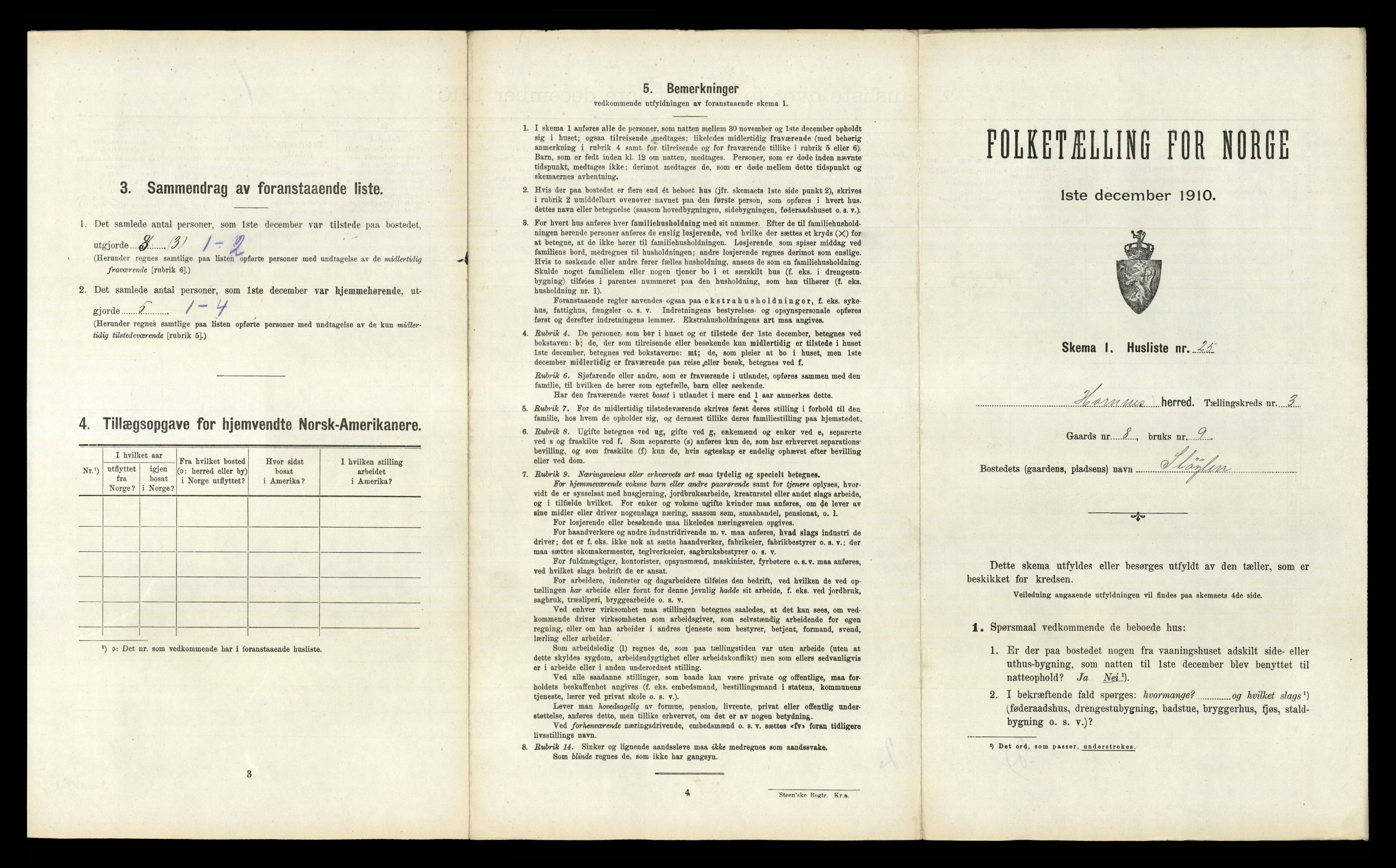 RA, 1910 census for Hornnes, 1910, p. 212