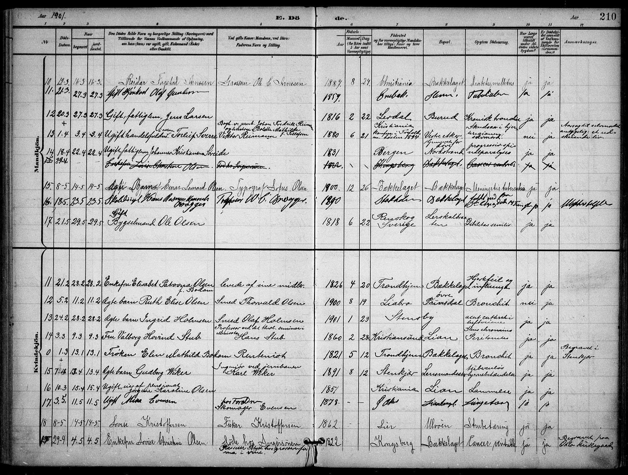 Nordstrand prestekontor Kirkebøker, SAO/A-10362a/F/Fa/L0001: Parish register (official) no. I 1, 1900-1914, p. 210