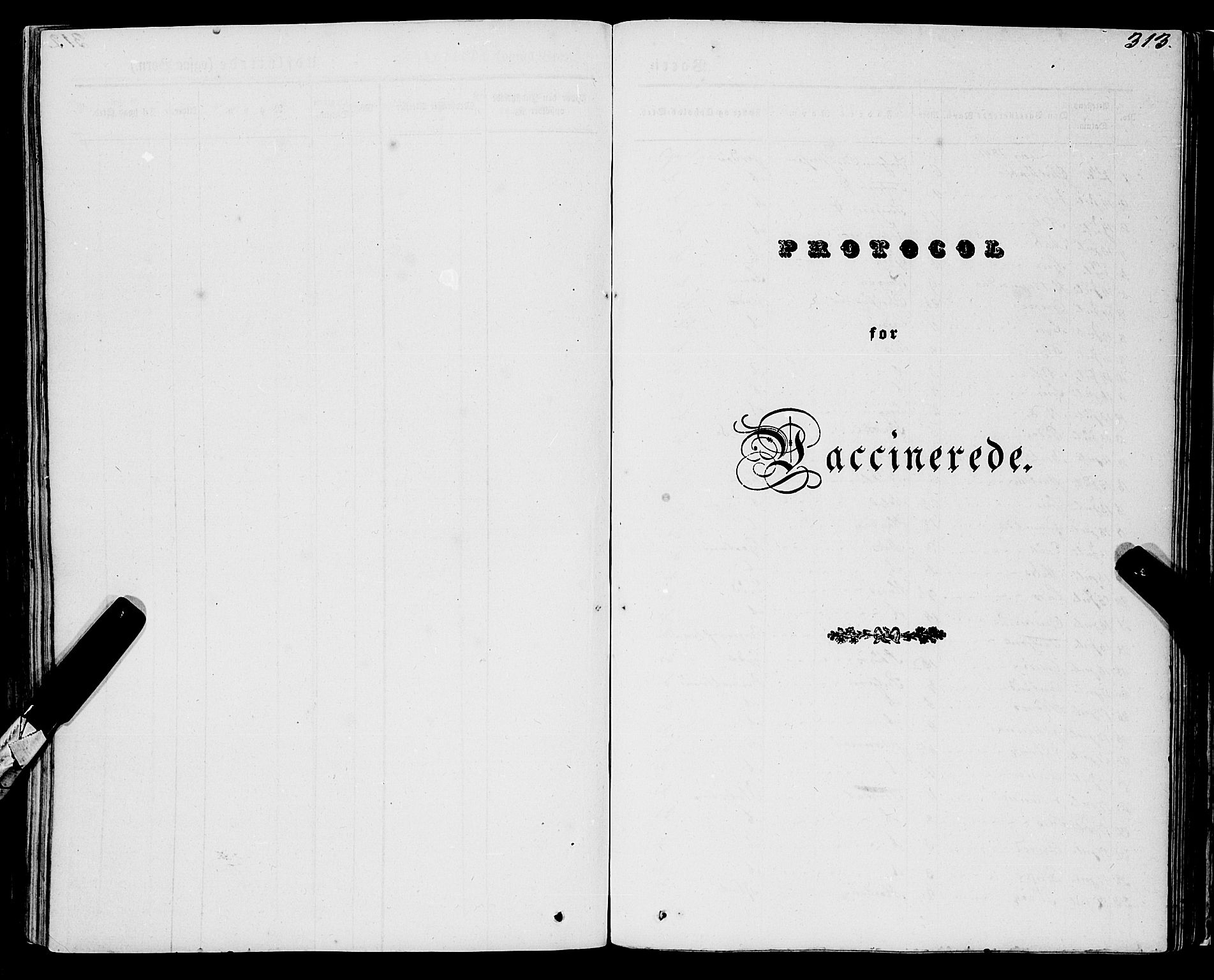 Ulvik sokneprestembete, SAB/A-78801/H/Haa: Parish register (official) no. A 12, 1839-1853, p. 313