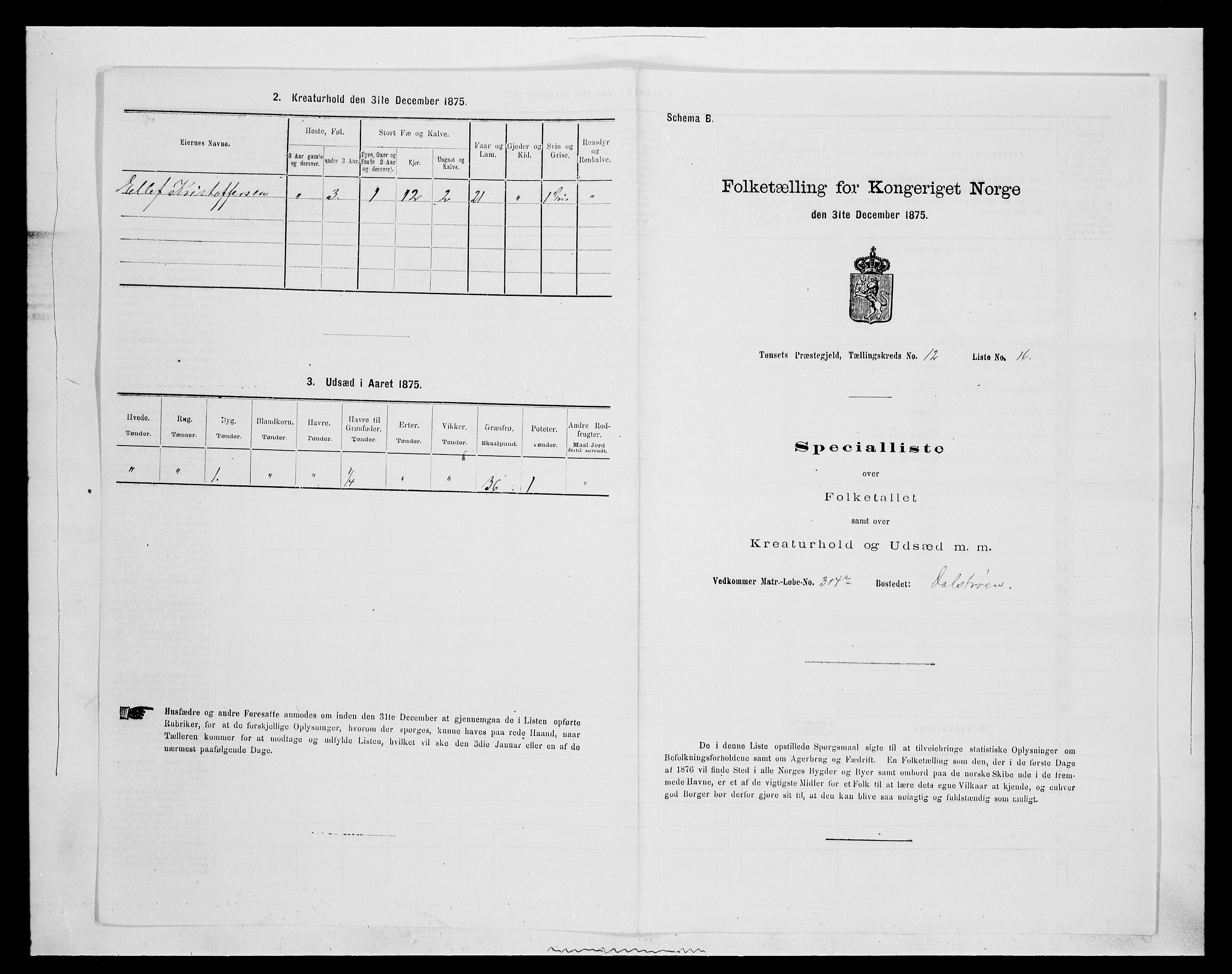 SAH, 1875 census for 0437P Tynset, 1875, p. 1082