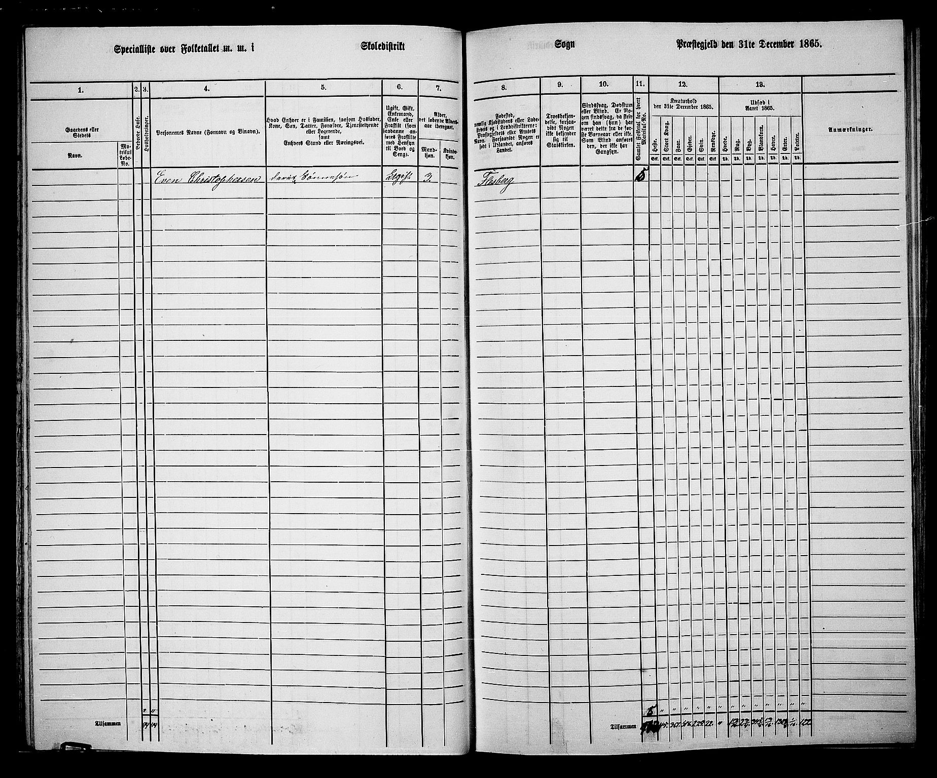 RA, 1865 census for Flesberg, 1865, p. 30