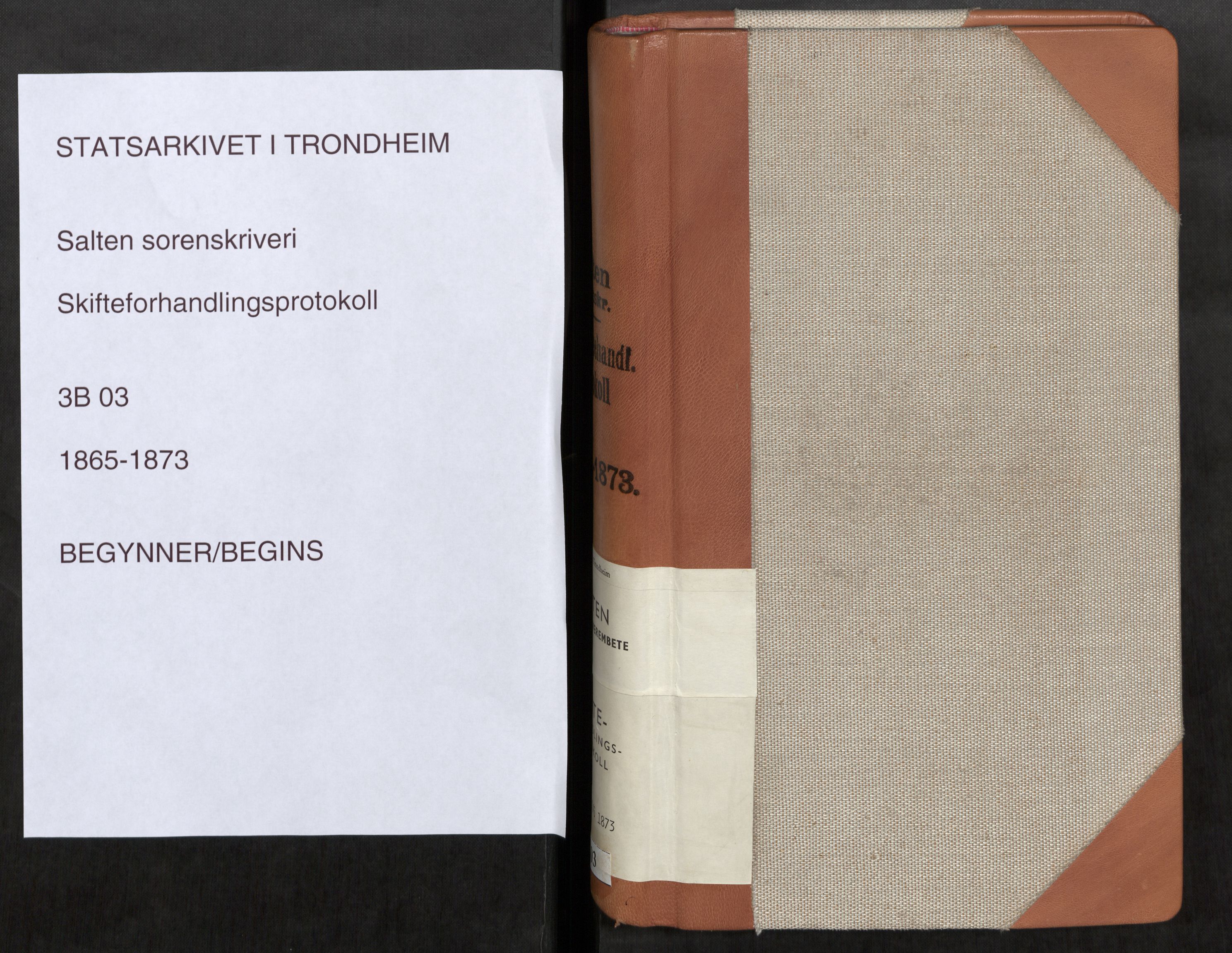 Salten sorenskriveri, AV/SAT-A-4578/1/3/3B/L0003: Skiftebehandlingsprotokoll, 1865-1873