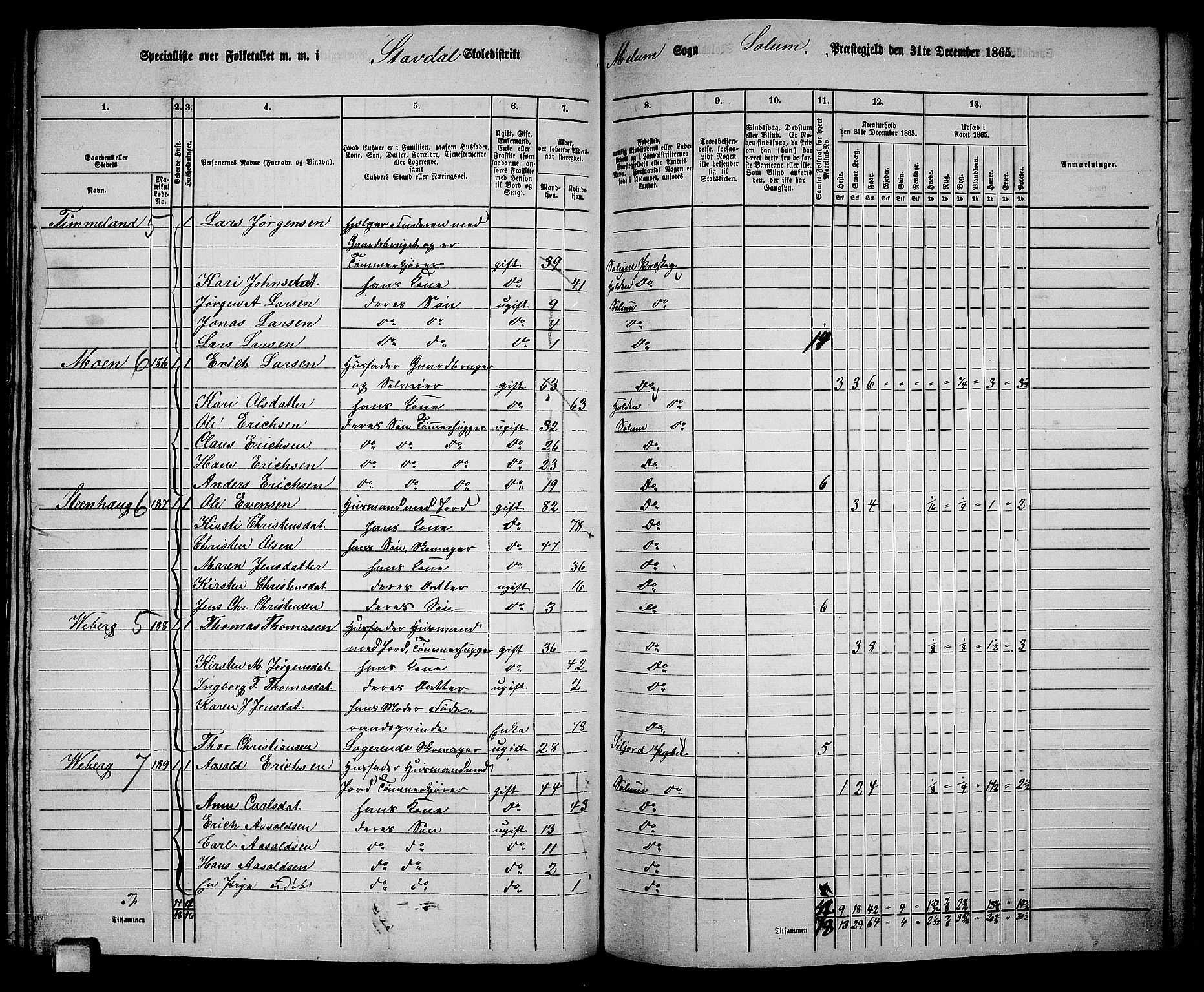 RA, 1865 census for Solum, 1865, p. 161