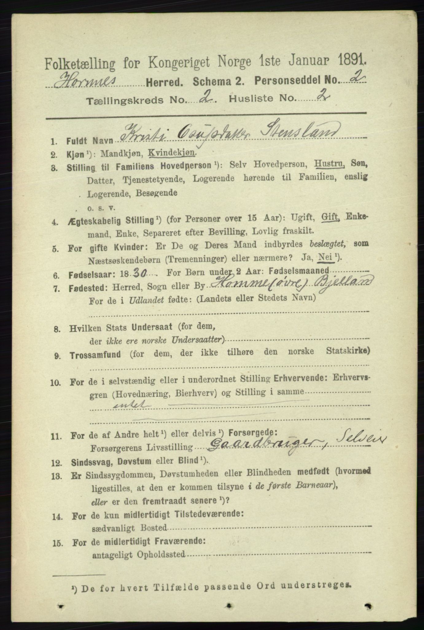 RA, 1891 census for 0936 Hornnes, 1891, p. 219