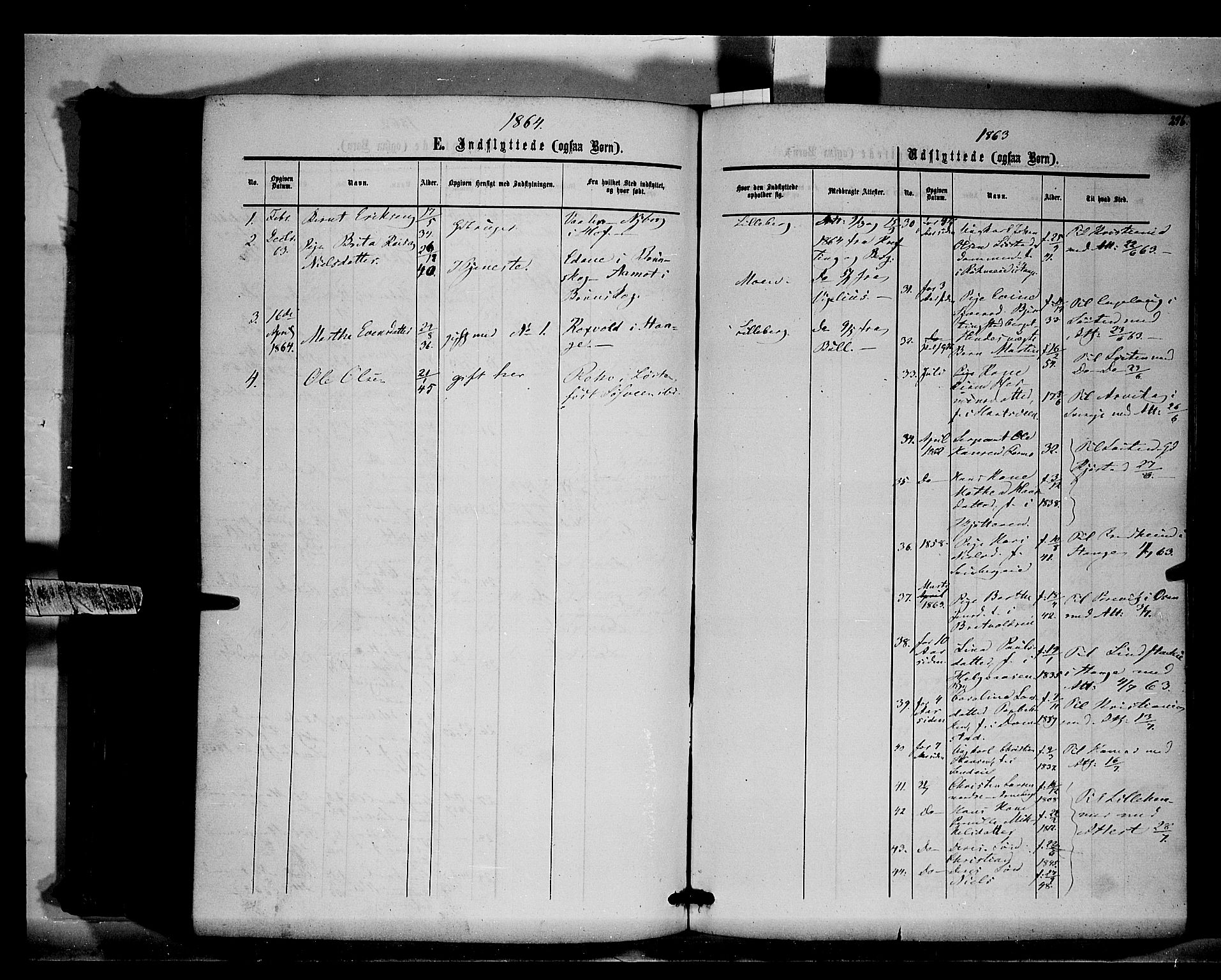 Romedal prestekontor, AV/SAH-PREST-004/K/L0005: Parish register (official) no. 5, 1862-1874, p. 296