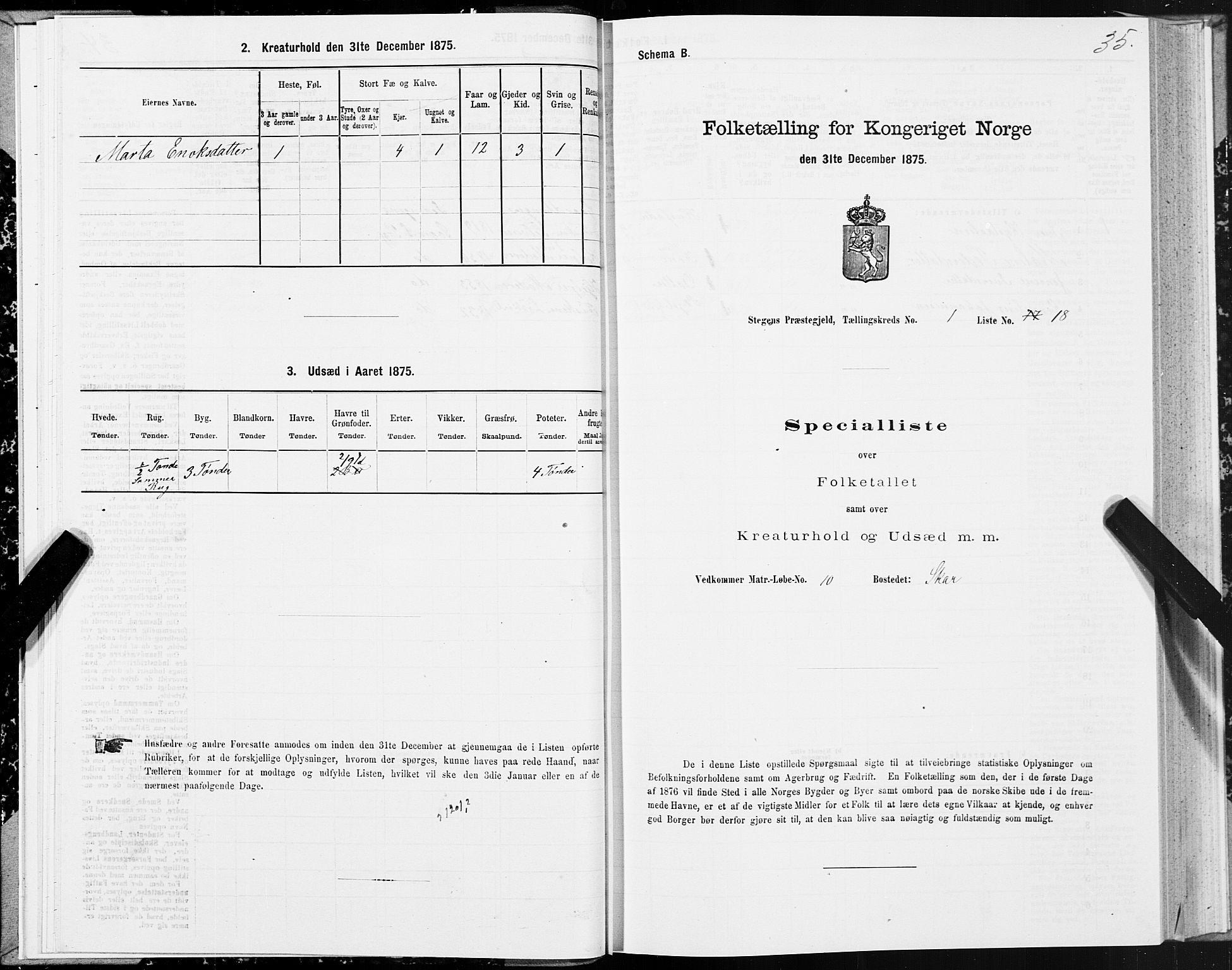 SAT, 1875 census for 1848P Steigen, 1875, p. 1035