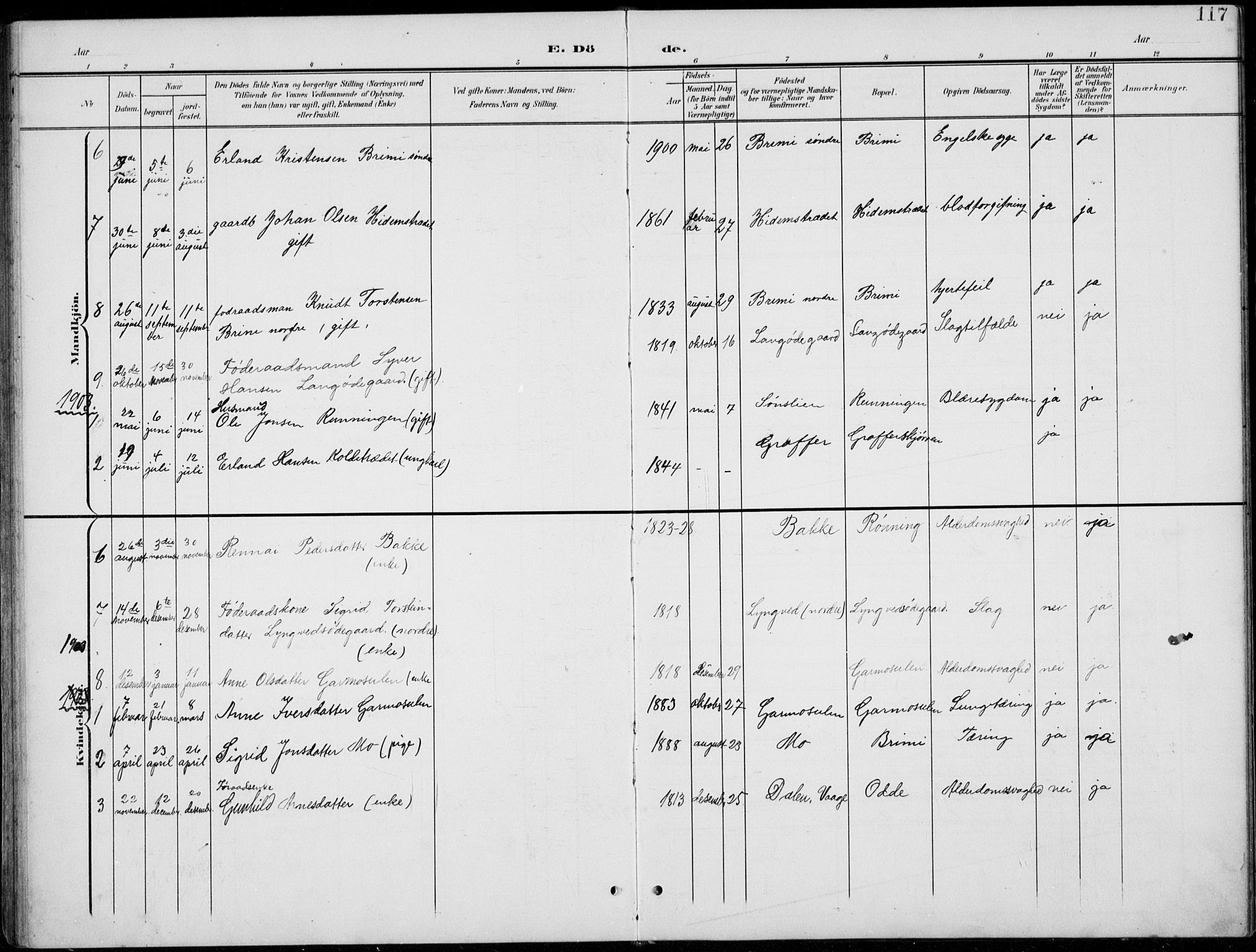 Lom prestekontor, SAH/PREST-070/L/L0006: Parish register (copy) no. 6, 1901-1939, p. 117