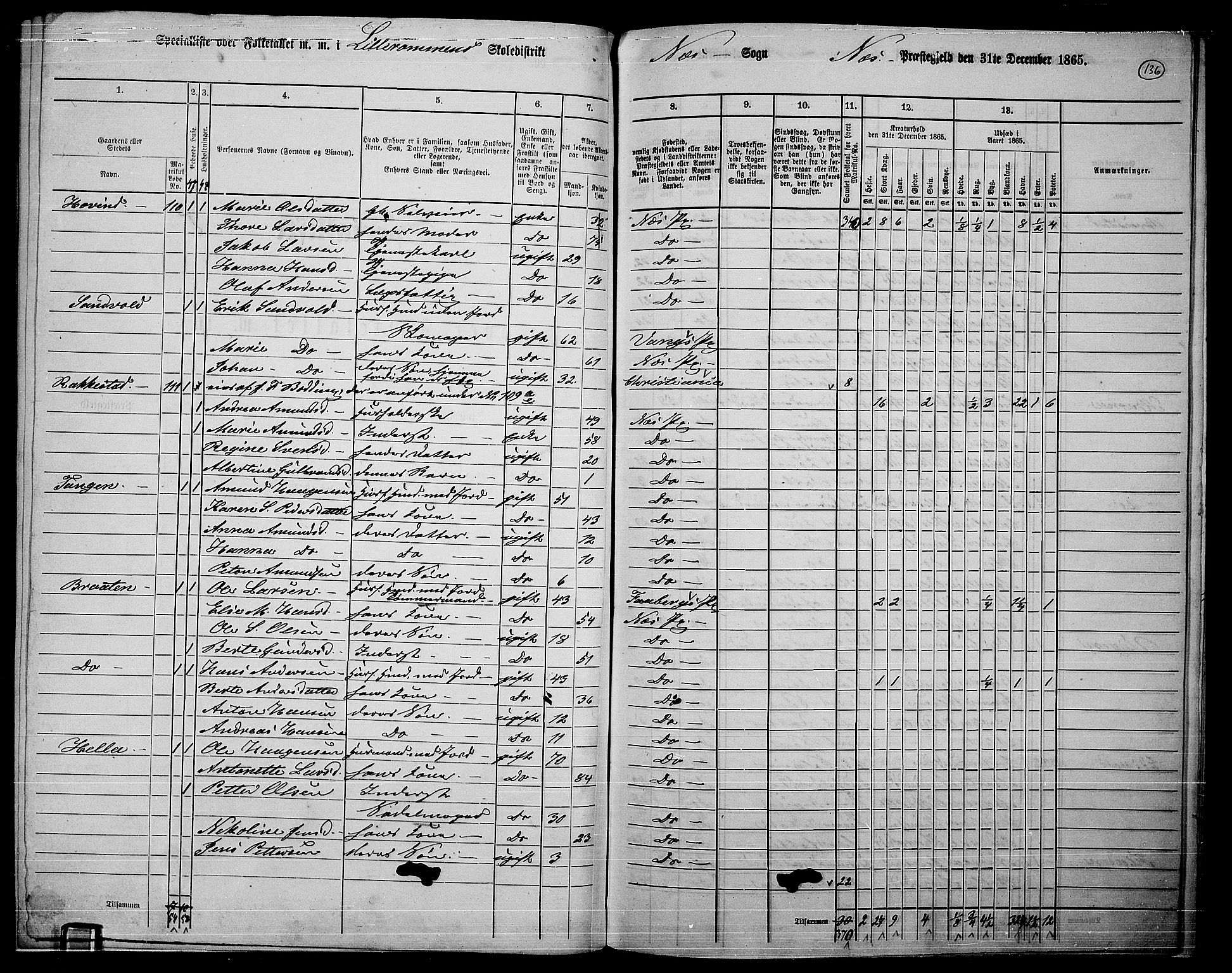 RA, 1865 census for Nes, 1865, p. 123