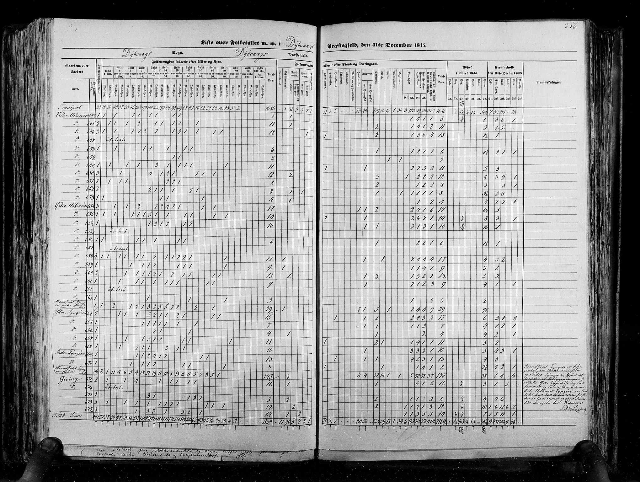 RA, Census 1845, vol. 5: Bratsberg amt og Nedenes og Råbyggelaget amt, 1845, p. 256