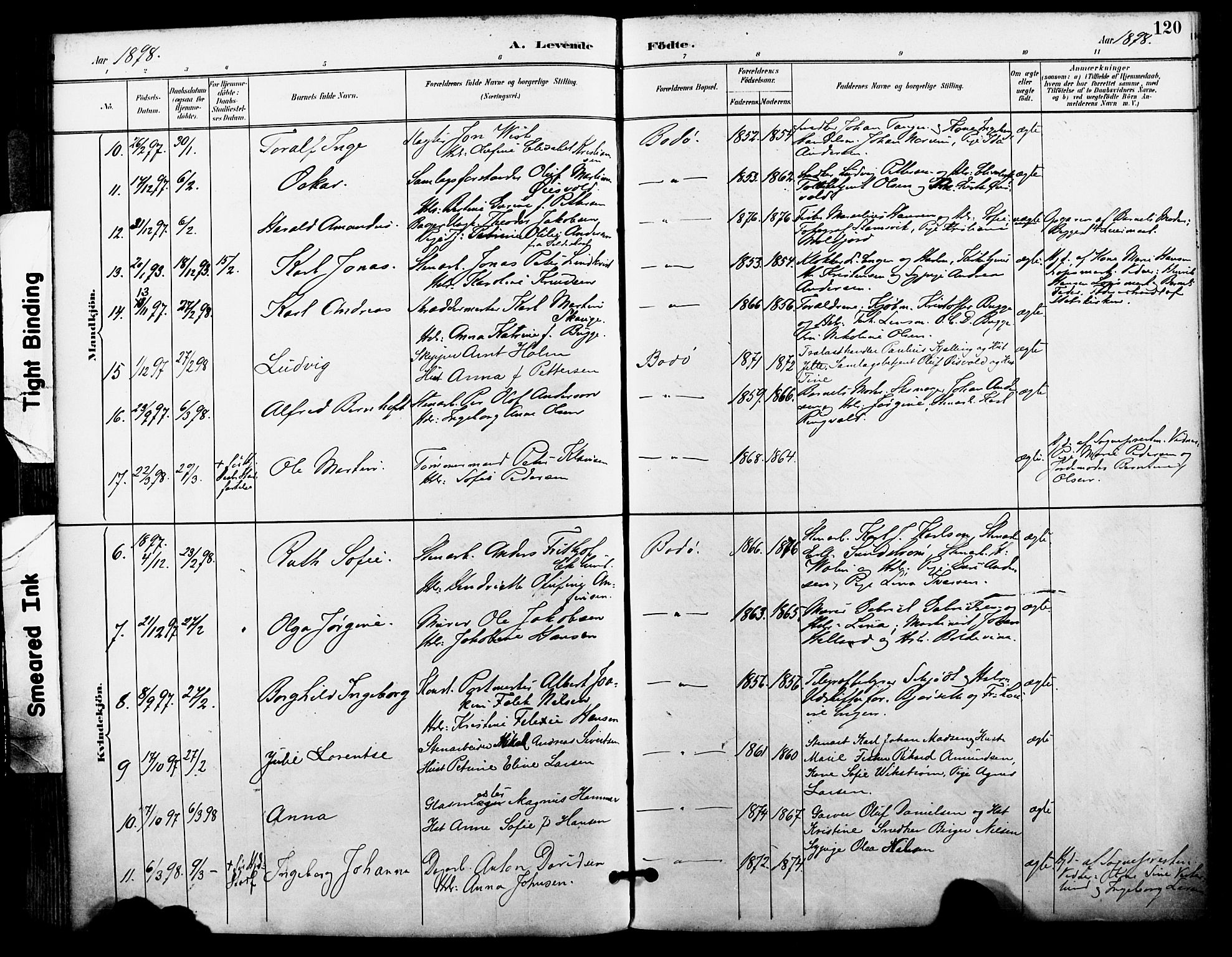 Ministerialprotokoller, klokkerbøker og fødselsregistre - Nordland, AV/SAT-A-1459/801/L0010: Parish register (official) no. 801A10, 1888-1899, p. 120