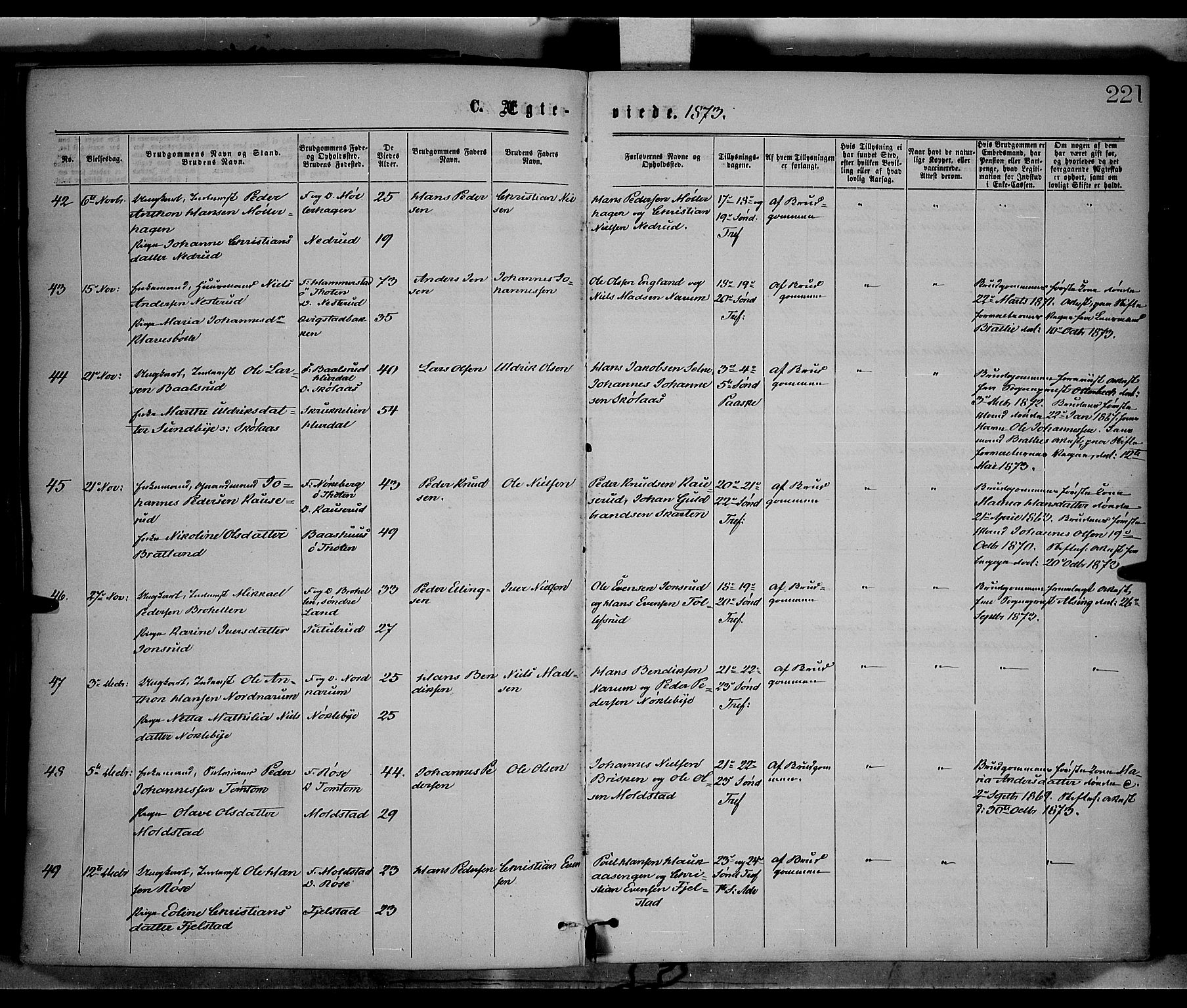 Vestre Toten prestekontor, SAH/PREST-108/H/Ha/Haa/L0008: Parish register (official) no. 8, 1870-1877, p. 221