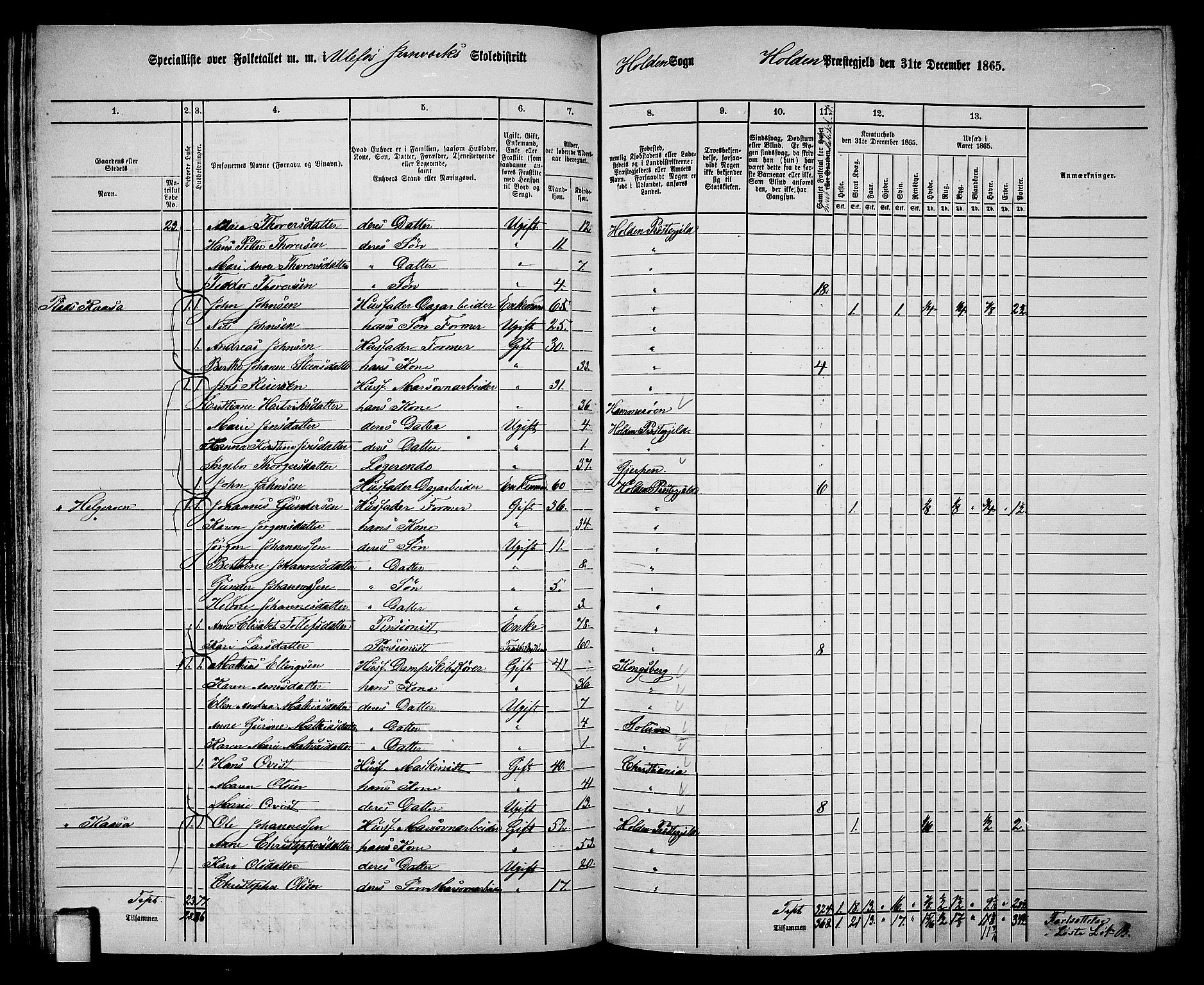 RA, 1865 census for Holla, 1865, p. 58