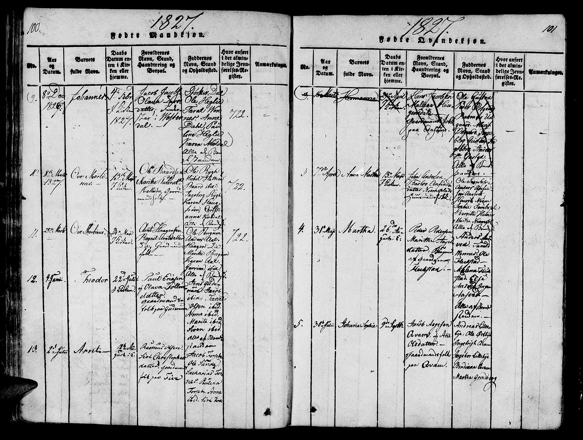 Ministerialprotokoller, klokkerbøker og fødselsregistre - Nord-Trøndelag, SAT/A-1458/746/L0441: Parish register (official) no. 746A03 /2, 1816-1827, p. 100-101