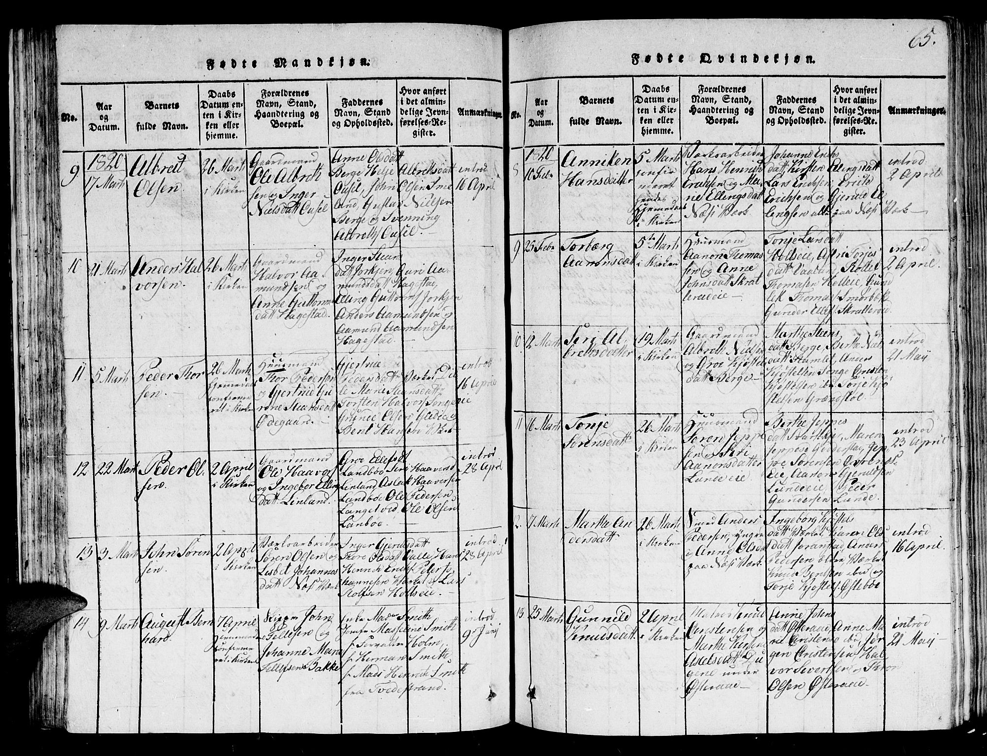 Holt sokneprestkontor, AV/SAK-1111-0021/F/Fb/L0006: Parish register (copy) no. B 6, 1813-1823, p. 65