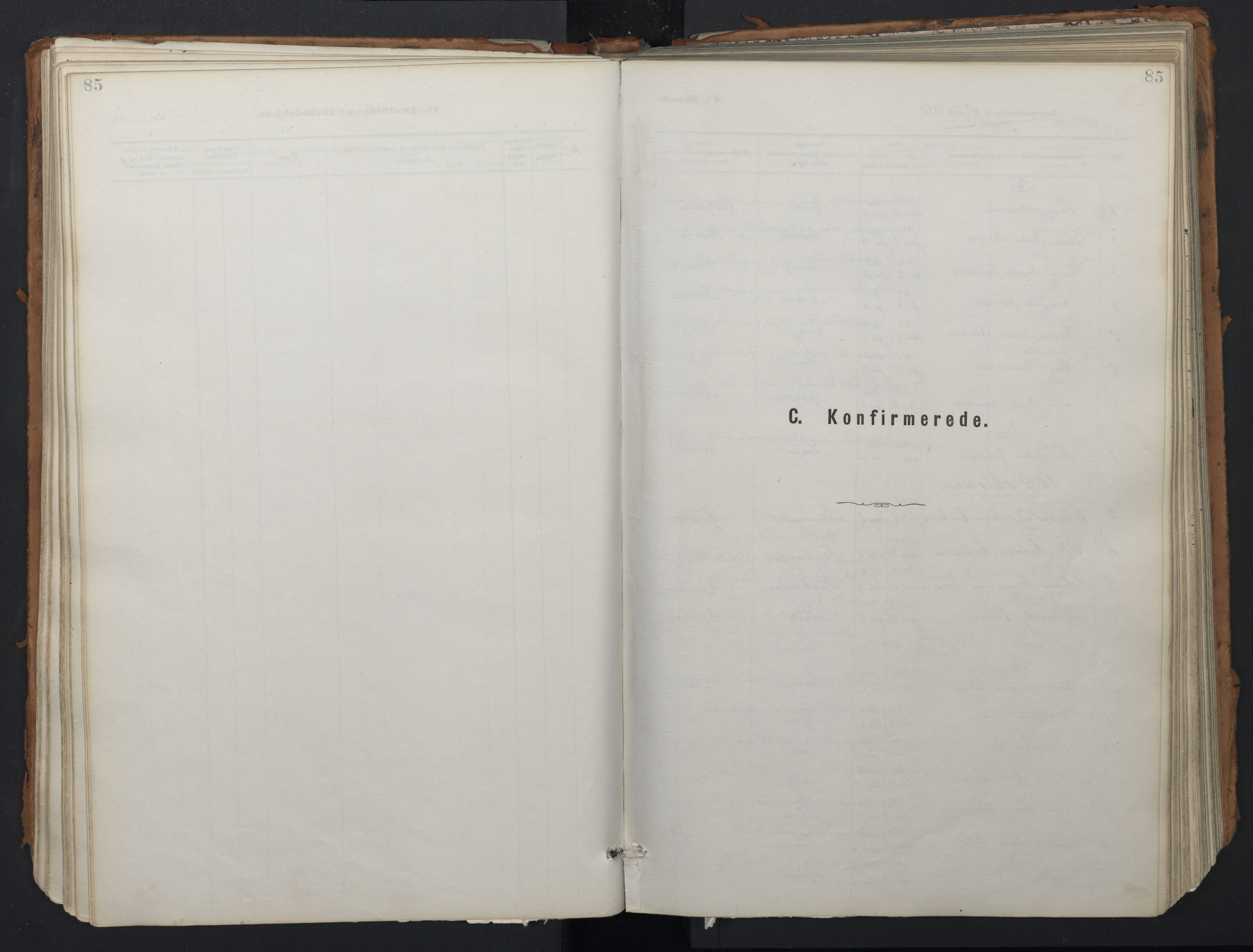 Ministerialprotokoller, klokkerbøker og fødselsregistre - Nordland, AV/SAT-A-1459/824/L0338: Parish register (official) no. 824A01, 1880-1915, p. 85