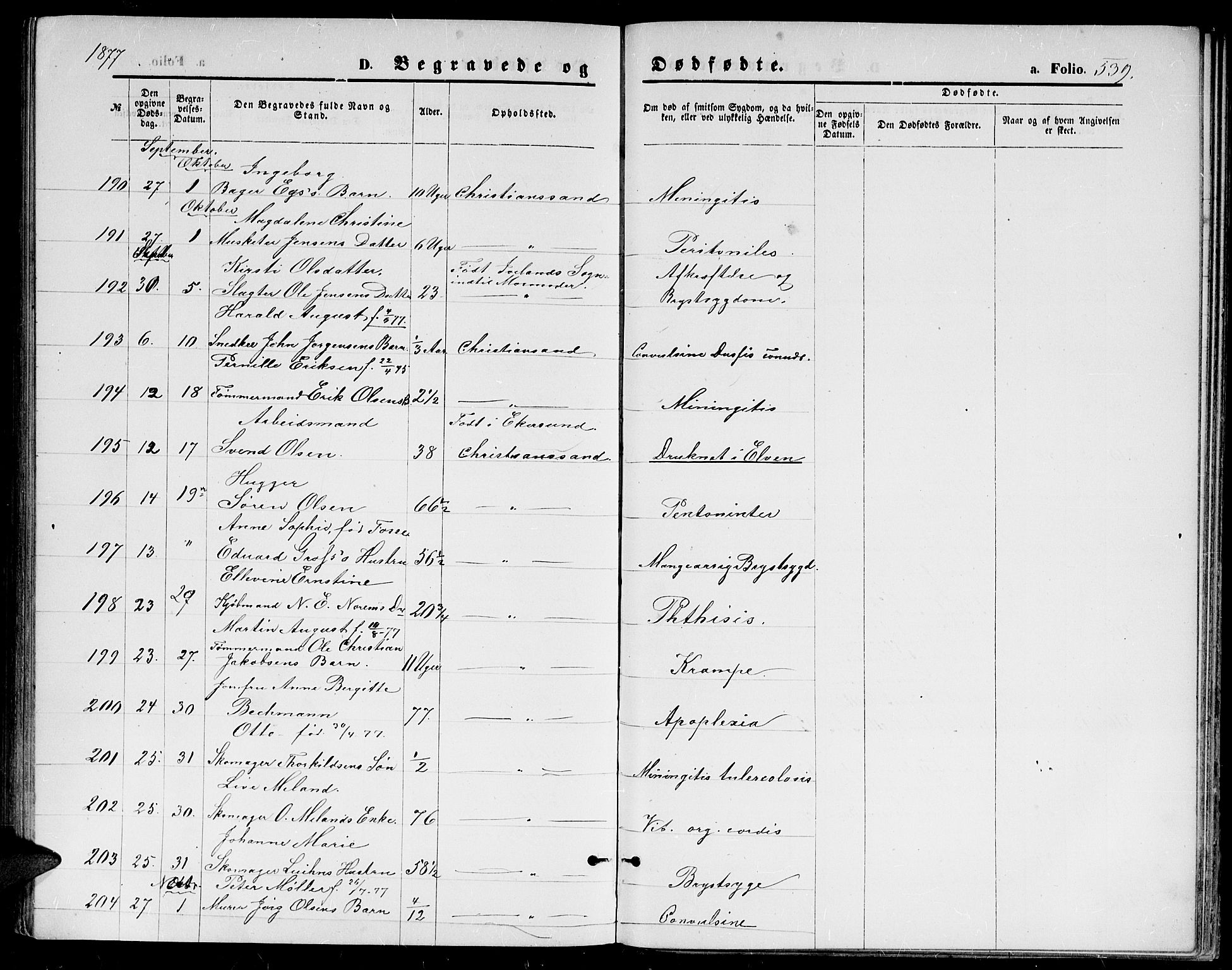 Kristiansand domprosti, AV/SAK-1112-0006/F/Fb/L0013: Parish register (copy) no. B 13, 1871-1880, p. 539