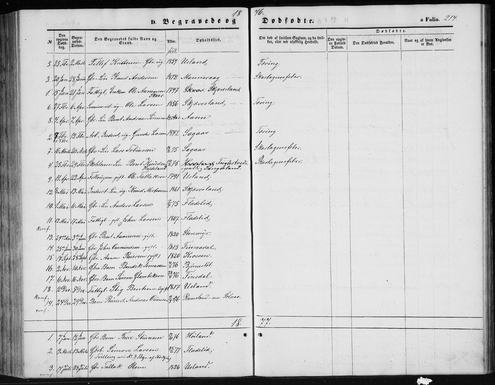 Holum sokneprestkontor, AV/SAK-1111-0022/F/Fb/Fbc/L0002: Parish register (copy) no. B 2, 1860-1882, p. 214