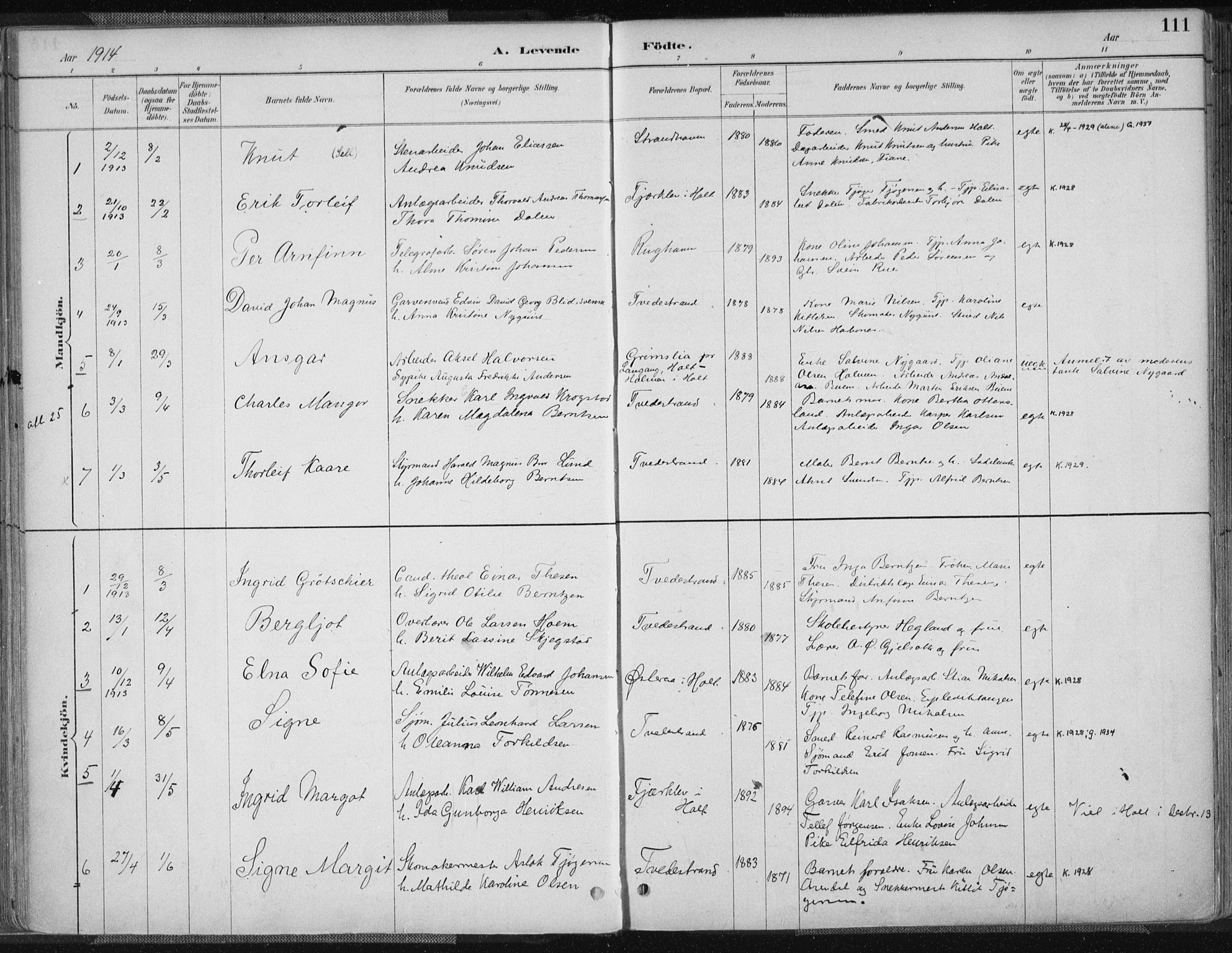 Tvedestrand sokneprestkontor, AV/SAK-1111-0042/F/Fa/L0001: Parish register (official) no. A 1, 1885-1916, p. 111