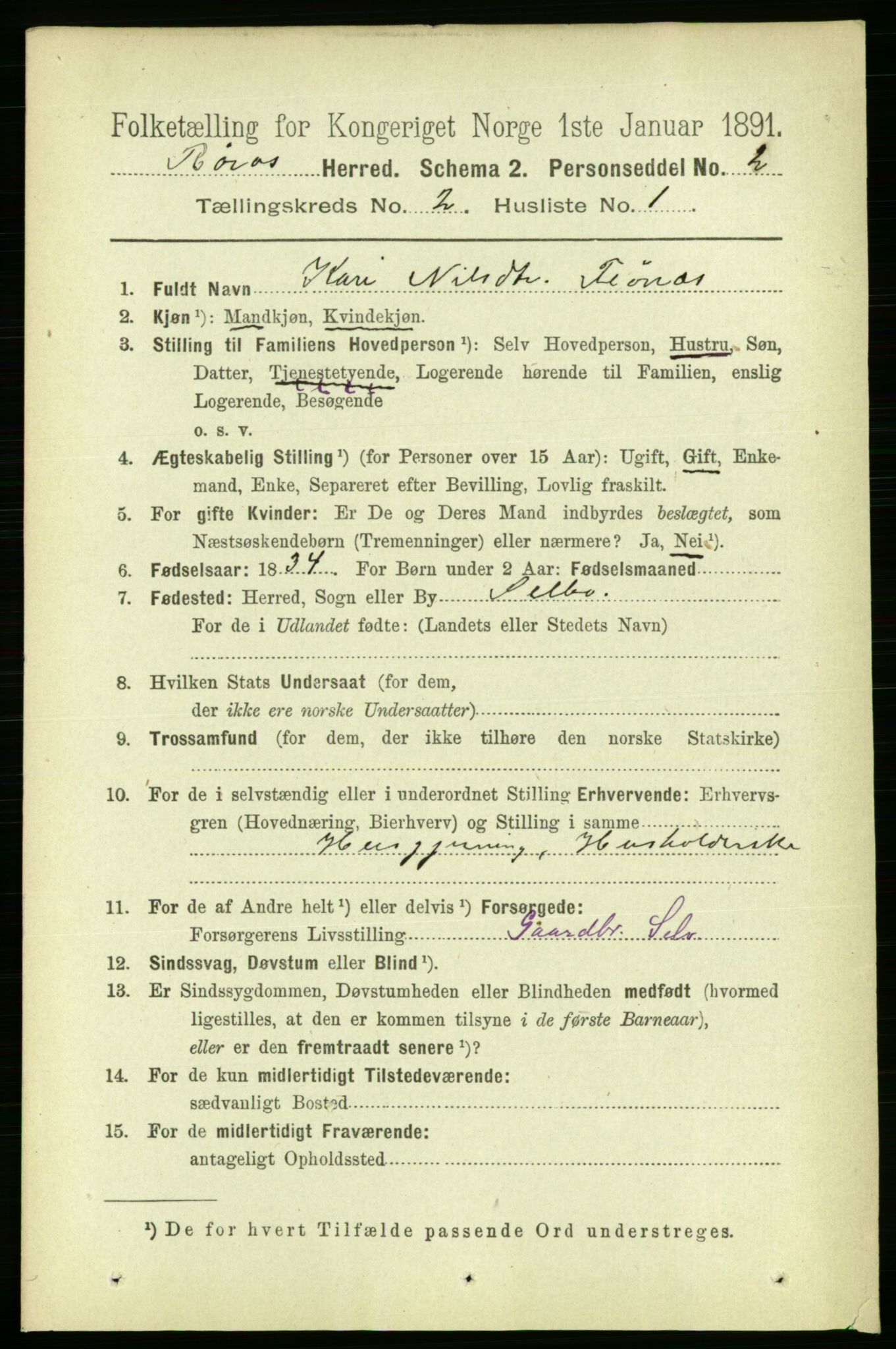 RA, 1891 census for 1640 Røros, 1891, p. 265