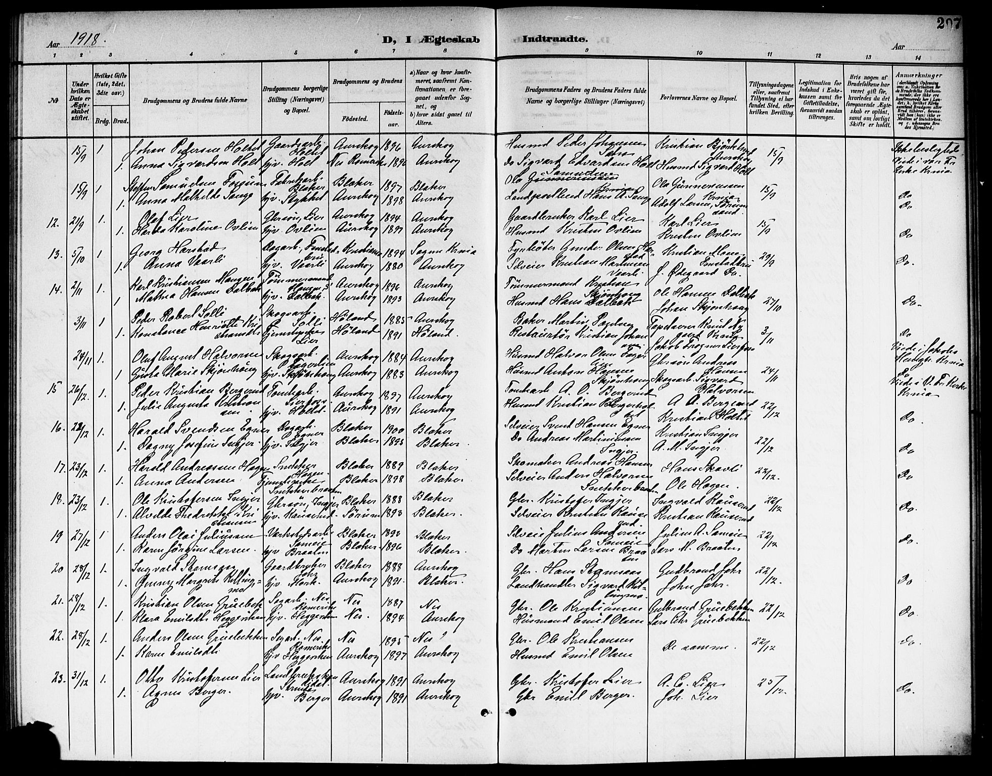 Aurskog prestekontor Kirkebøker, SAO/A-10304a/G/Ga/L0004: Parish register (copy) no. I 4, 1901-1921, p. 207