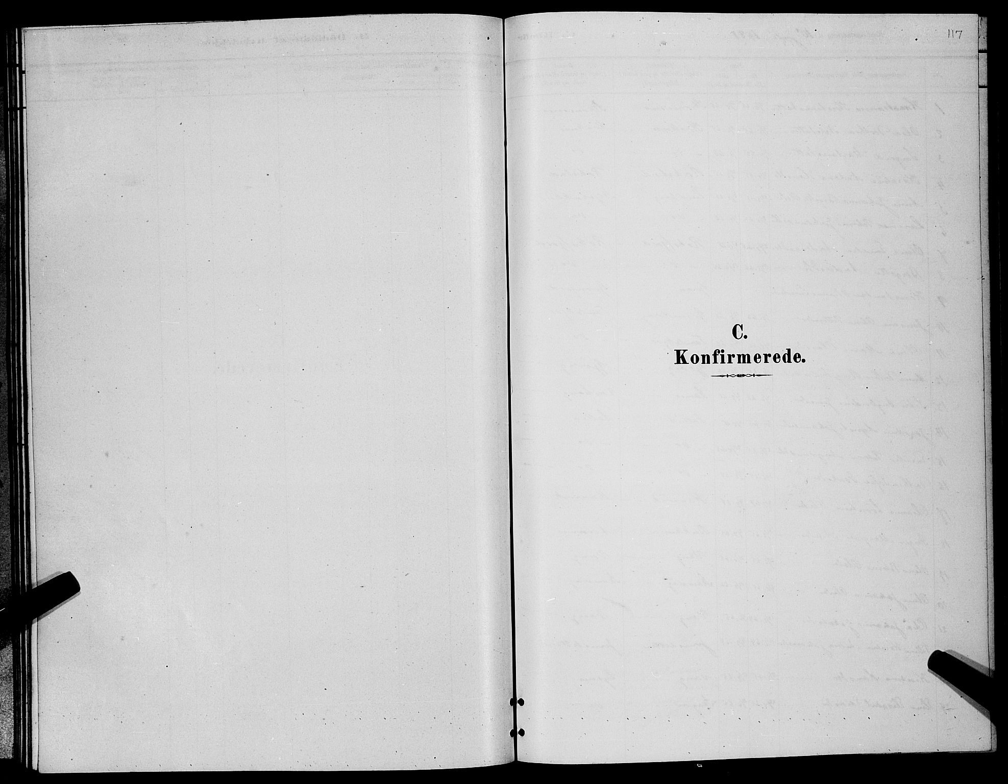 Lenvik sokneprestembete, AV/SATØ-S-1310/H/Ha/Hab/L0006klokker: Parish register (copy) no. 6, 1881-1889, p. 117