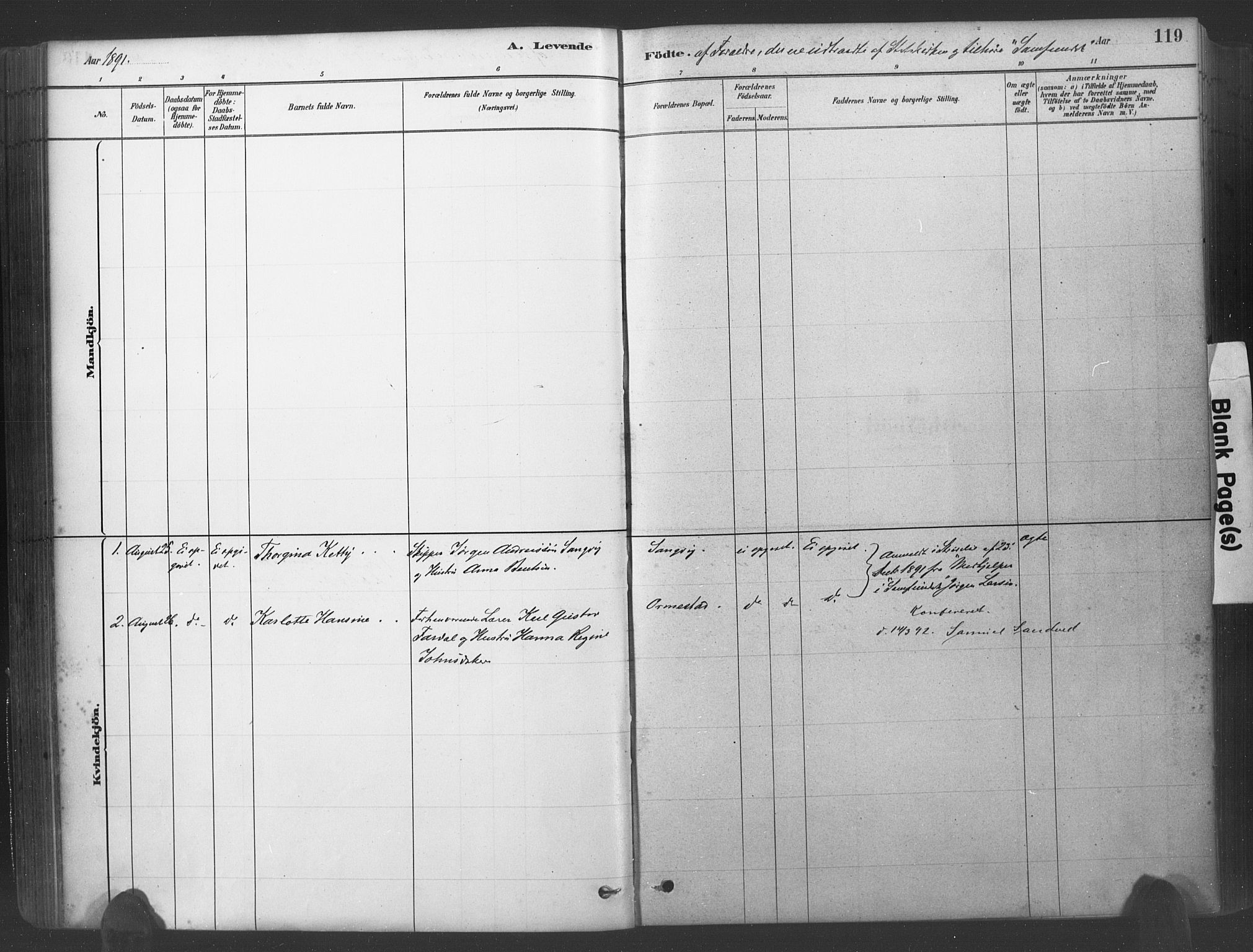 Søgne sokneprestkontor, AV/SAK-1111-0037/F/Fa/Fab/L0012: Parish register (official) no. A 12, 1880-1891, p. 119