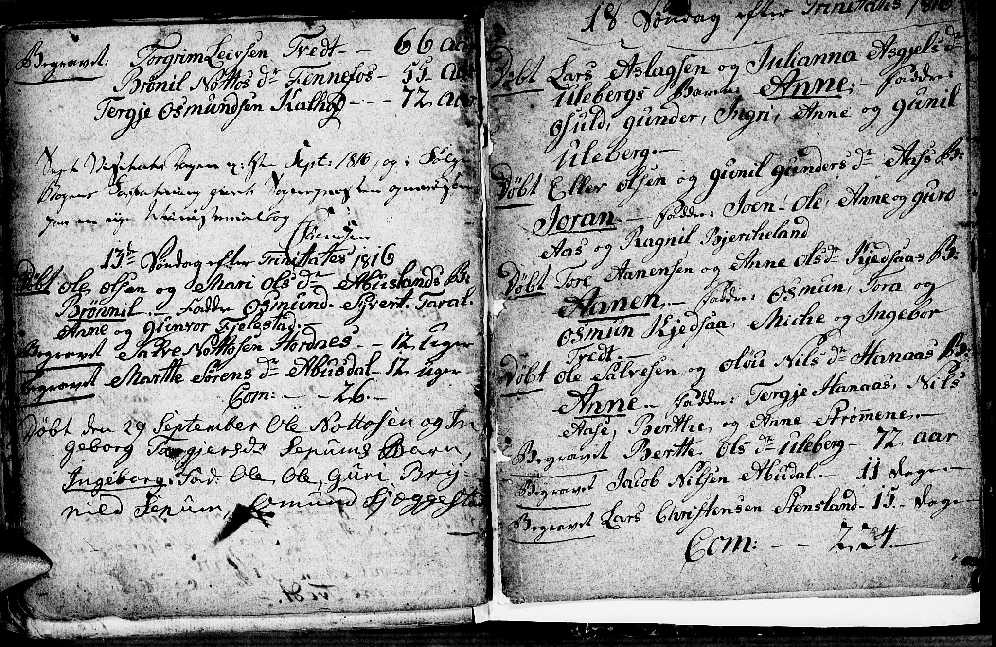 Evje sokneprestkontor, AV/SAK-1111-0008/F/Fa/Fab/L0002: Parish register (official) no. A 2, 1765-1816, p. 137