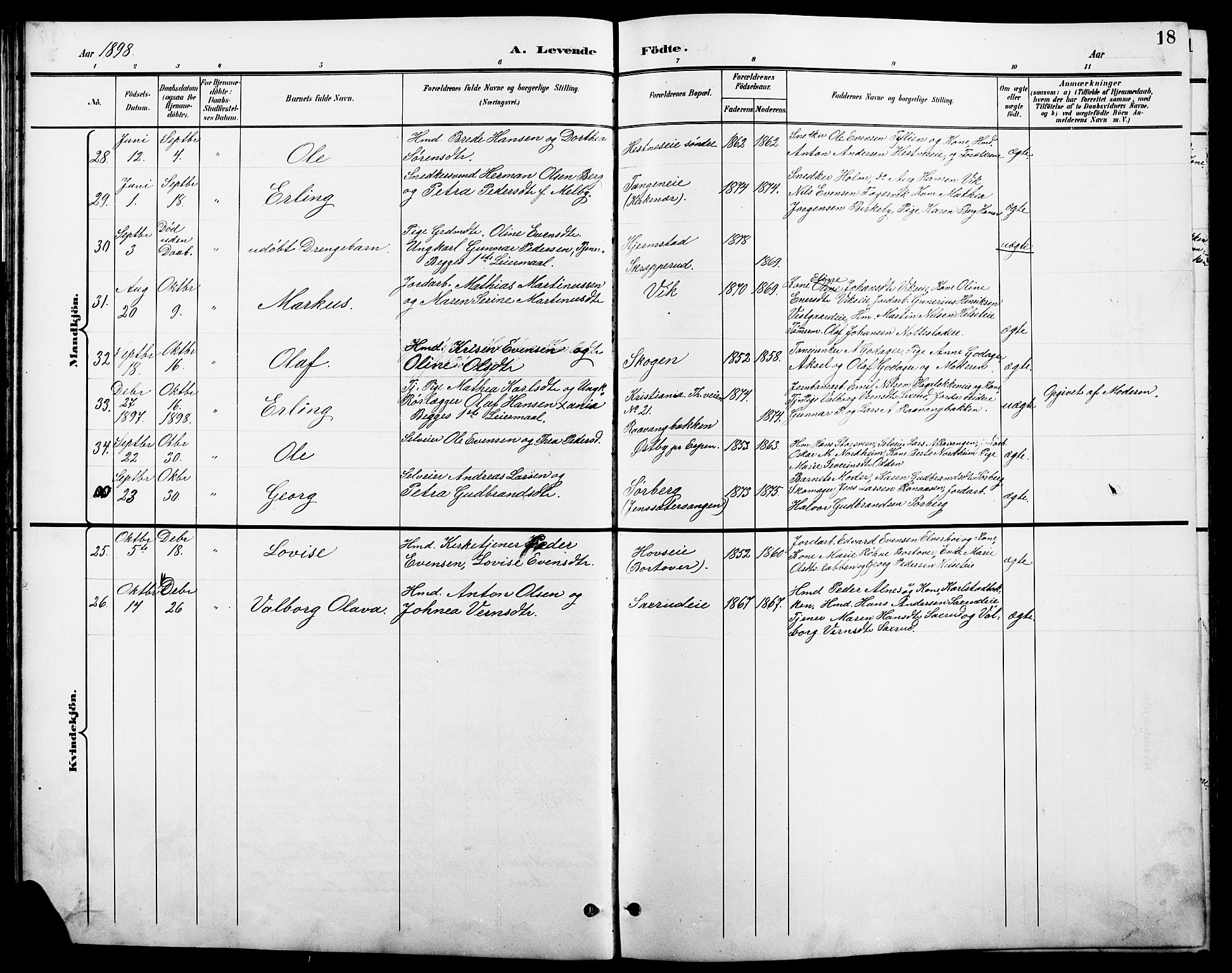 Stange prestekontor, AV/SAH-PREST-002/L/L0011: Parish register (copy) no. 11, 1895-1917, p. 18