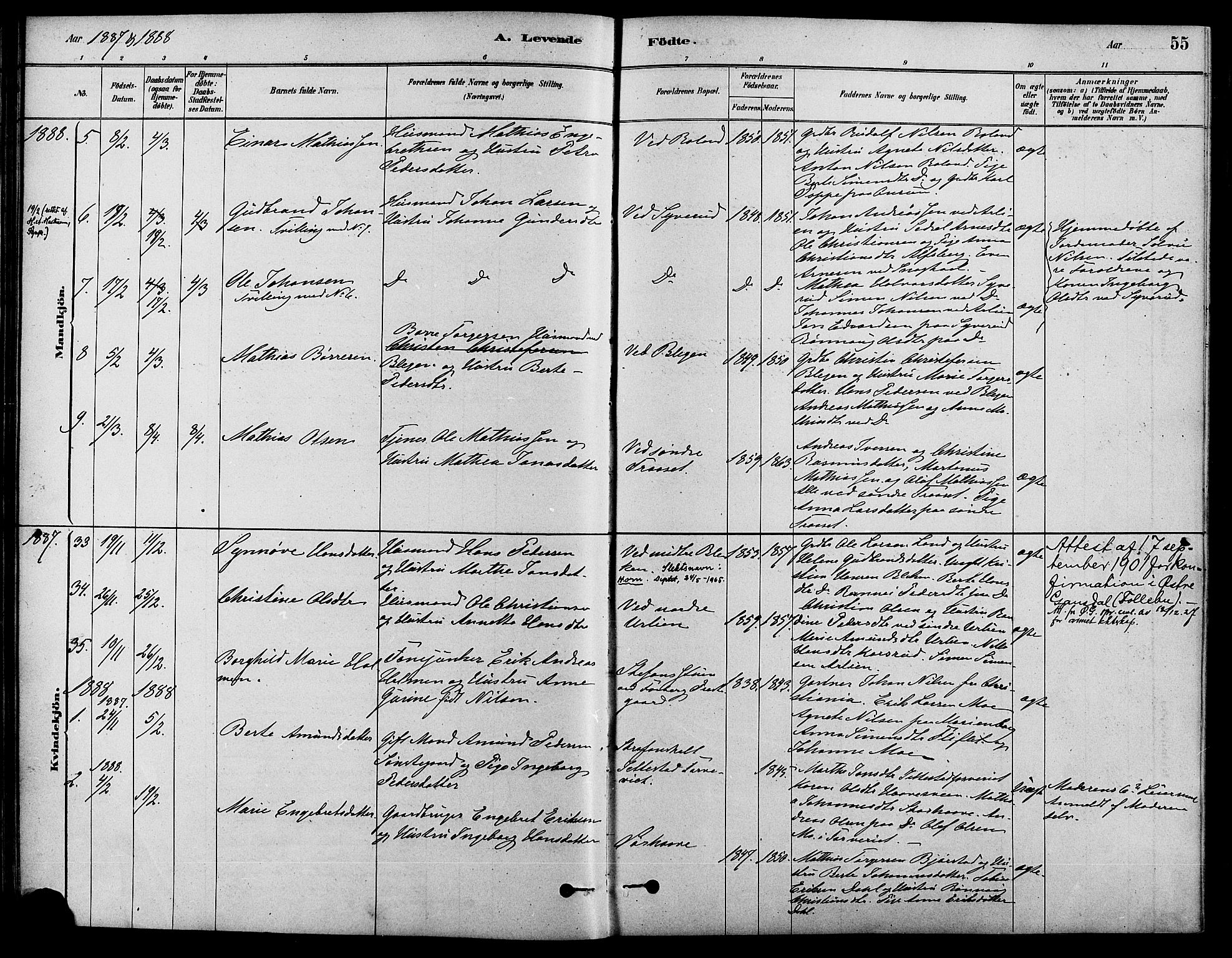 Fåberg prestekontor, SAH/PREST-086/H/Ha/Haa/L0008: Parish register (official) no. 8, 1879-1898, p. 55