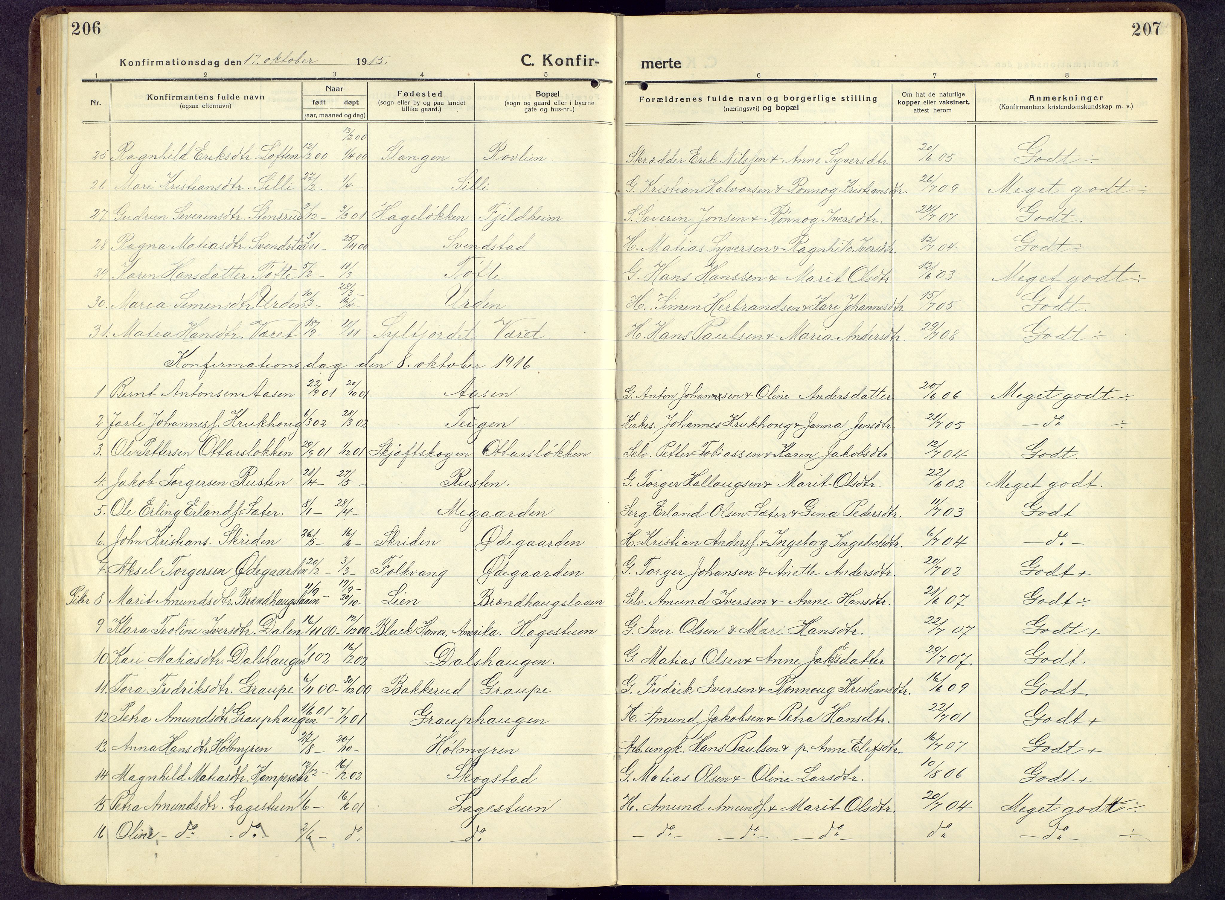 Nord-Fron prestekontor, SAH/PREST-080/H/Ha/Hab/L0009: Parish register (copy) no. 9, 1915-1958, p. 206-207