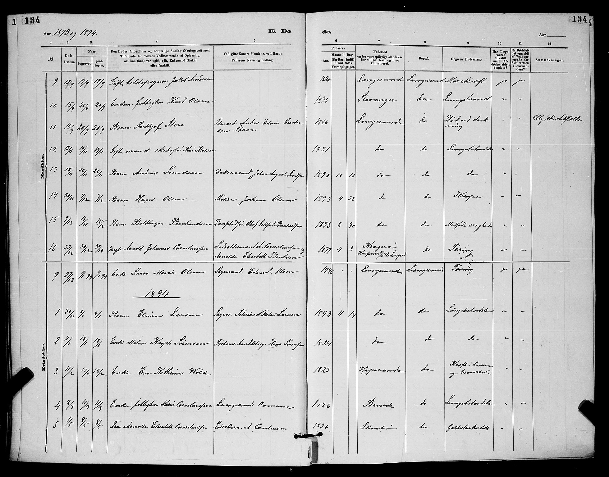Langesund kirkebøker, SAKO/A-280/G/Ga/L0005: Parish register (copy) no. 5, 1884-1898, p. 134