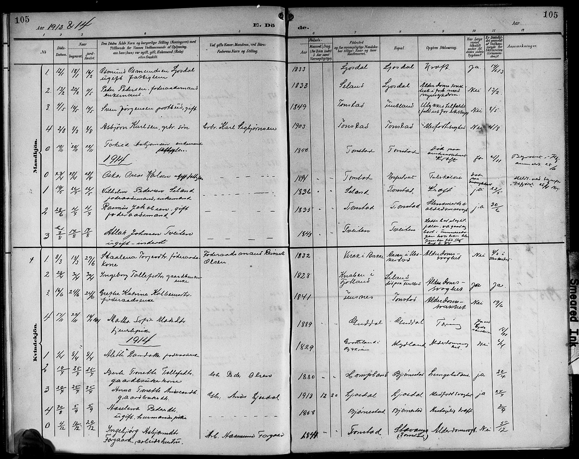 Sirdal sokneprestkontor, AV/SAK-1111-0036/F/Fb/Fbb/L0004: Parish register (copy) no. B 4, 1895-1916, p. 105