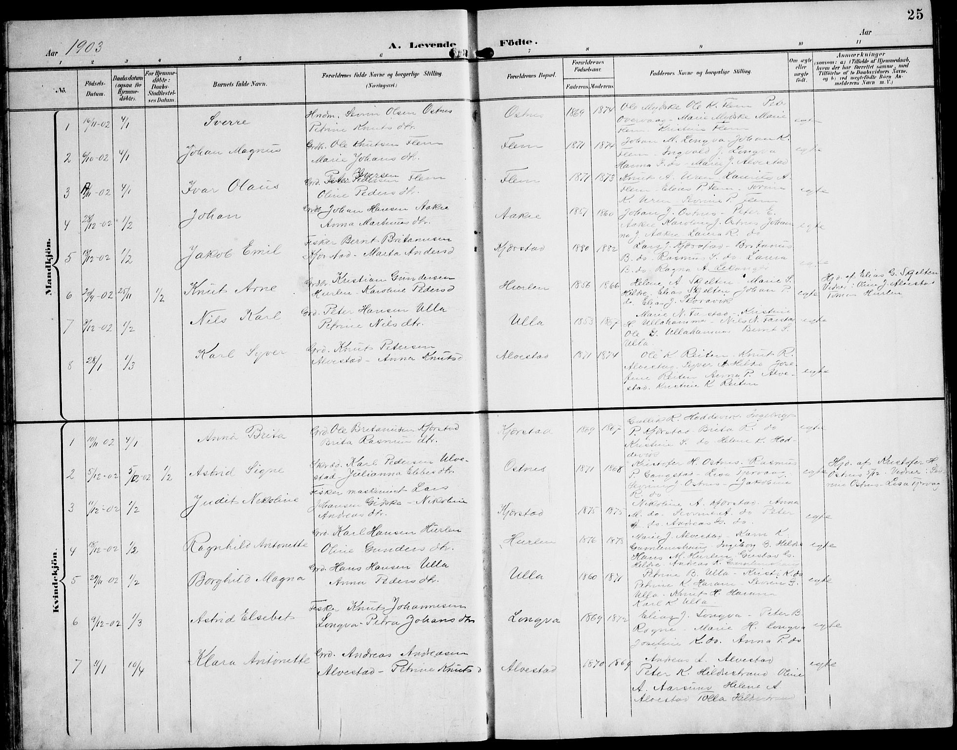 Ministerialprotokoller, klokkerbøker og fødselsregistre - Møre og Romsdal, AV/SAT-A-1454/536/L0511: Parish register (copy) no. 536C06, 1899-1944, p. 25