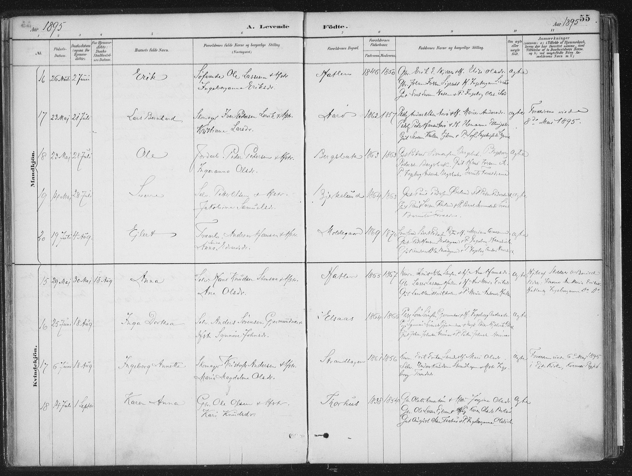 Ministerialprotokoller, klokkerbøker og fødselsregistre - Møre og Romsdal, AV/SAT-A-1454/555/L0658: Parish register (official) no. 555A09, 1887-1917, p. 55