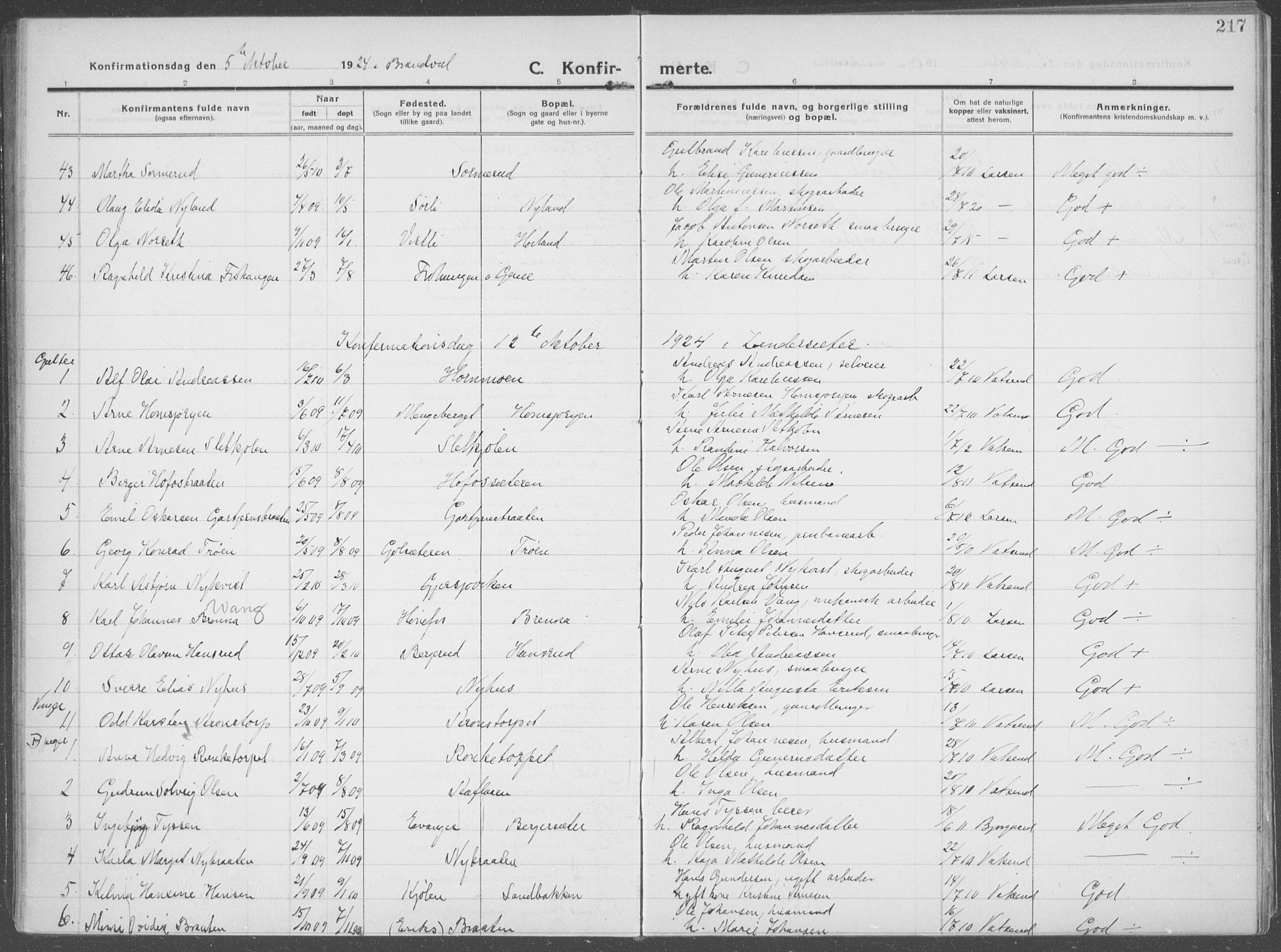 Brandval prestekontor, AV/SAH-PREST-034/H/Ha/Haa/L0004: Parish register (official) no. 4, 1910-1924, p. 217