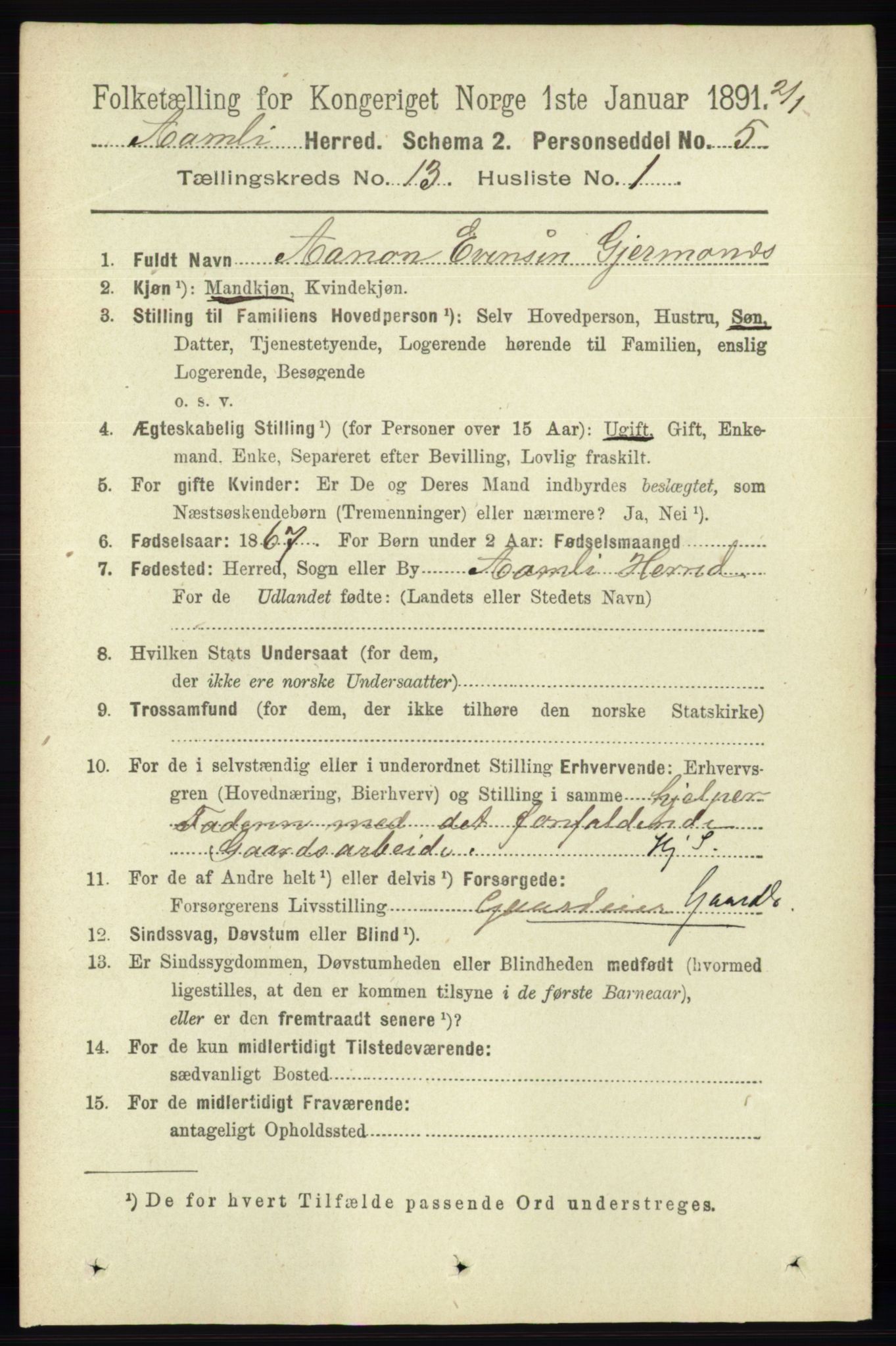 RA, 1891 census for 0929 Åmli, 1891, p. 2154