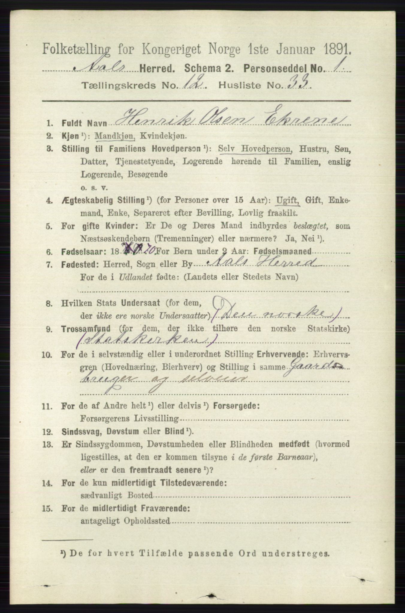 RA, 1891 census for 0619 Ål, 1891, p. 3197