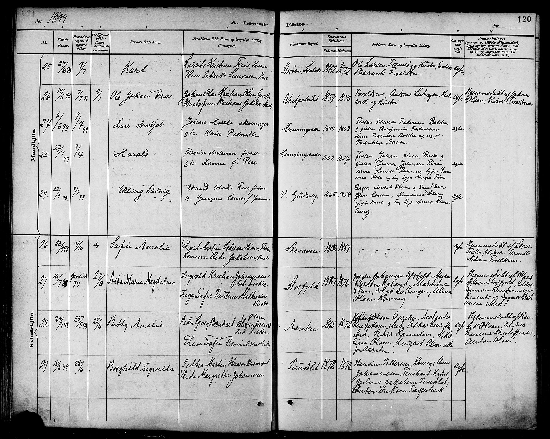 Ministerialprotokoller, klokkerbøker og fødselsregistre - Nordland, AV/SAT-A-1459/874/L1060: Parish register (official) no. 874A04, 1890-1899, p. 120