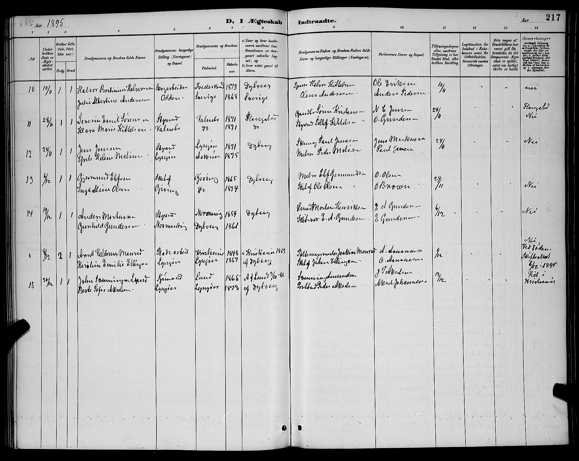 Dypvåg sokneprestkontor, SAK/1111-0007/F/Fb/Fba/L0013: Parish register (copy) no. B 13, 1887-1900, p. 217