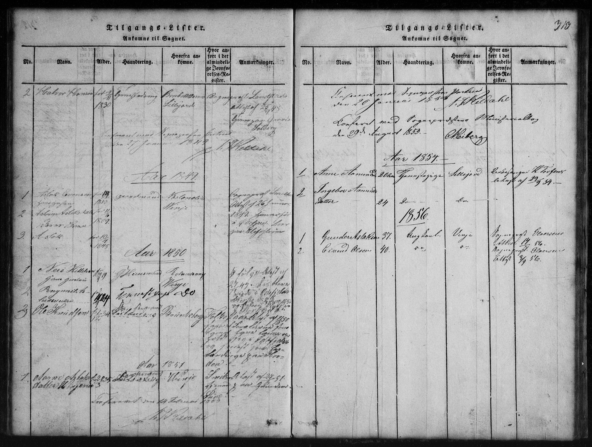 Rauland kirkebøker, SAKO/A-292/G/Gb/L0001: Parish register (copy) no. II 1, 1815-1886, p. 313