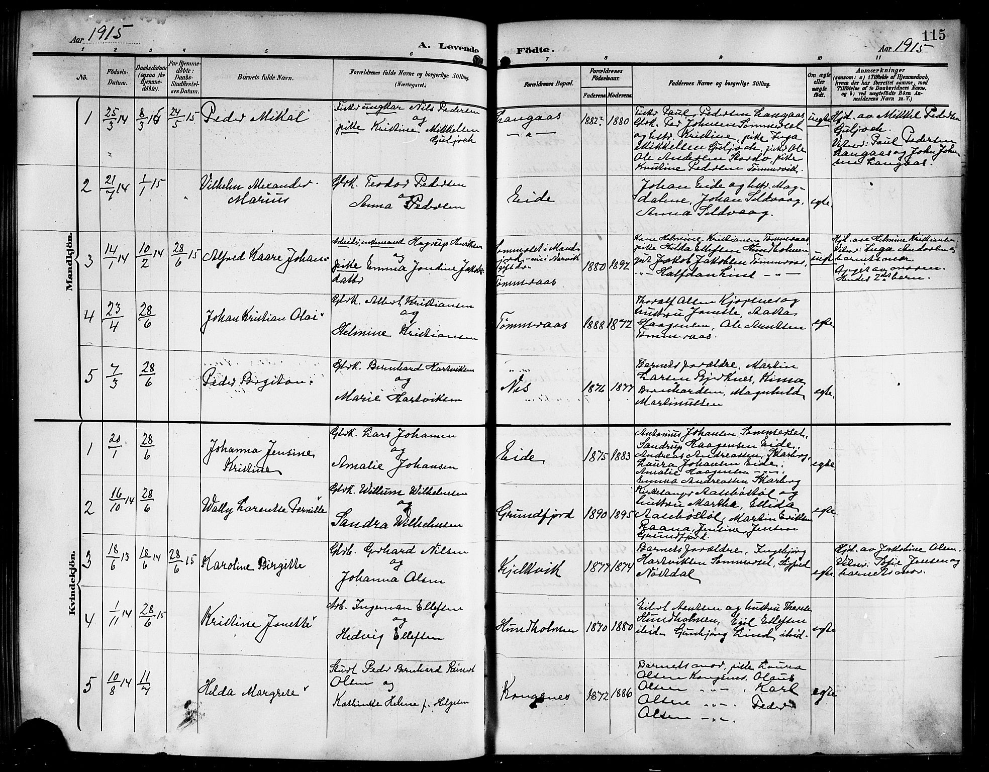 Ministerialprotokoller, klokkerbøker og fødselsregistre - Nordland, AV/SAT-A-1459/861/L0877: Parish register (copy) no. 861C03, 1903-1919, p. 115