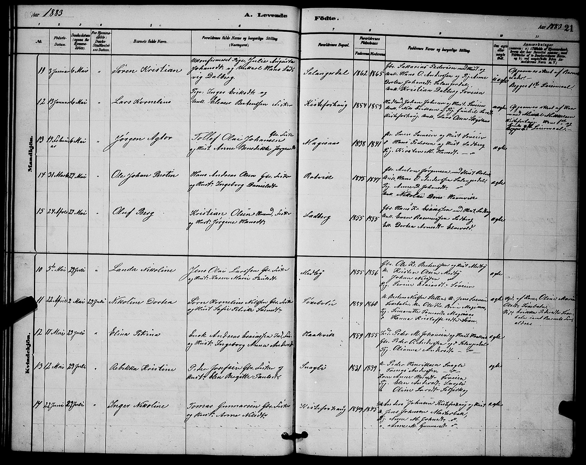 Ibestad sokneprestembete, AV/SATØ-S-0077/H/Ha/Hab/L0014klokker: Parish register (copy) no. 14, 1880-1887, p. 21