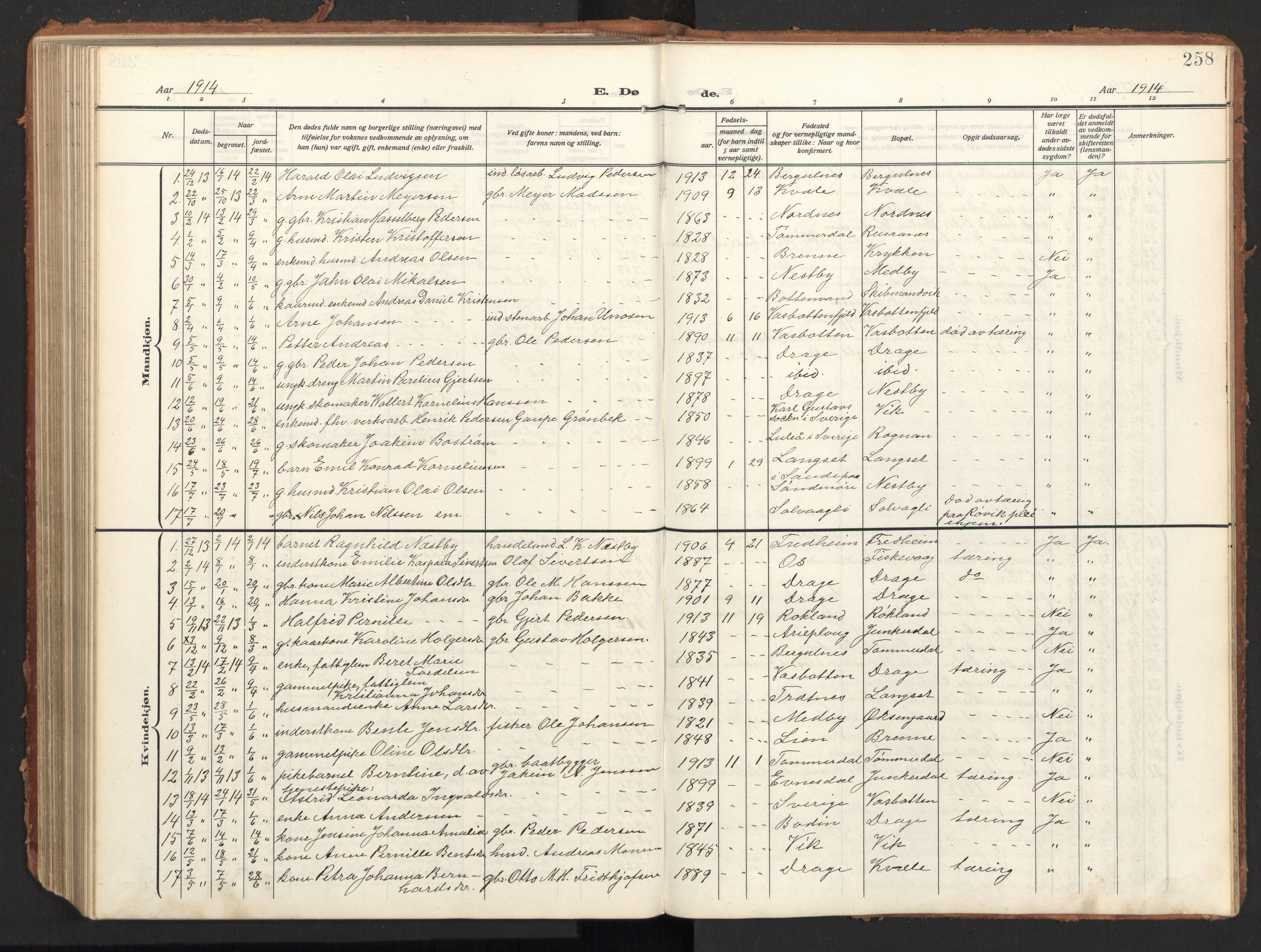 Ministerialprotokoller, klokkerbøker og fødselsregistre - Nordland, SAT/A-1459/847/L0683: Parish register (copy) no. 847C11, 1908-1929, p. 258