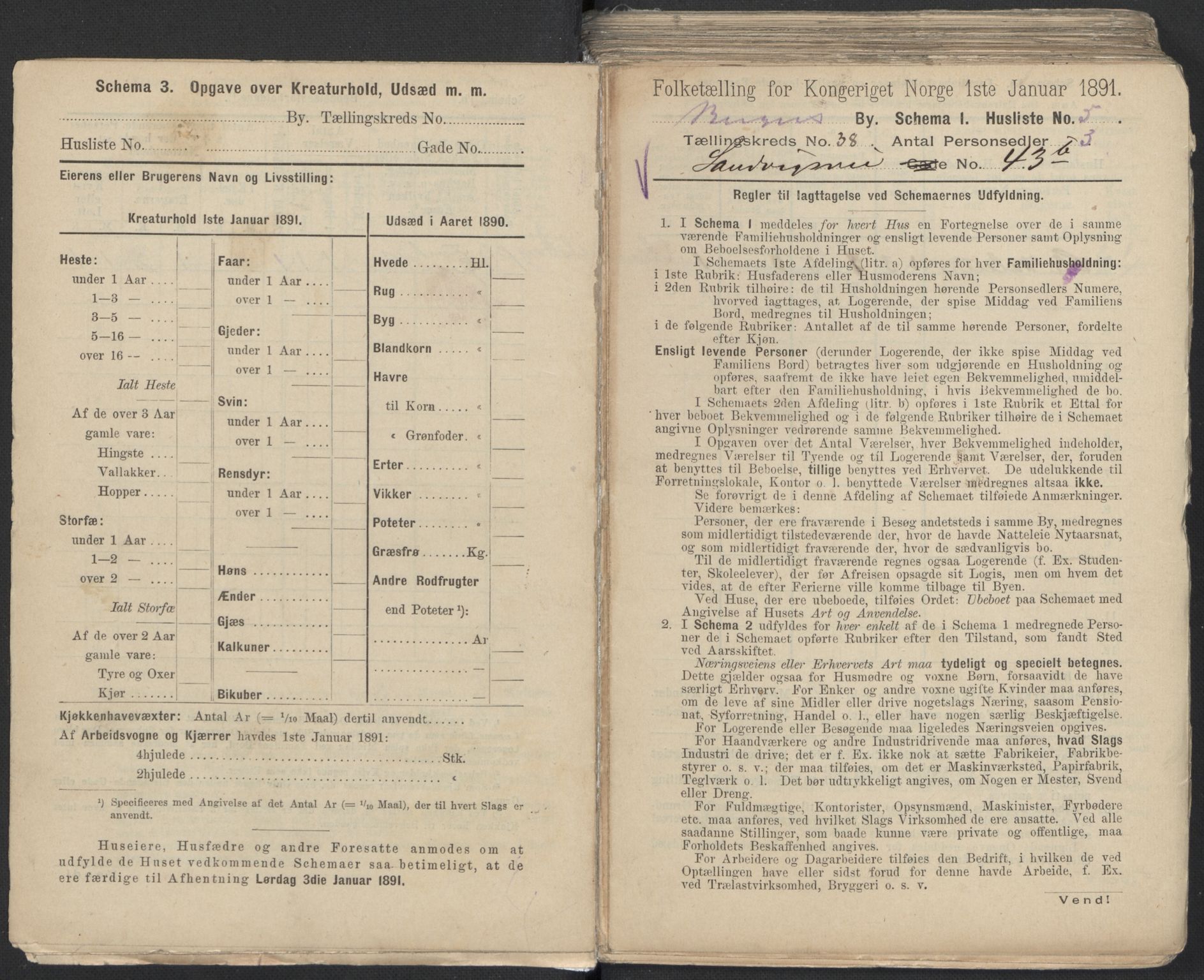 RA, 1891 Census for 1301 Bergen, 1891, p. 6084