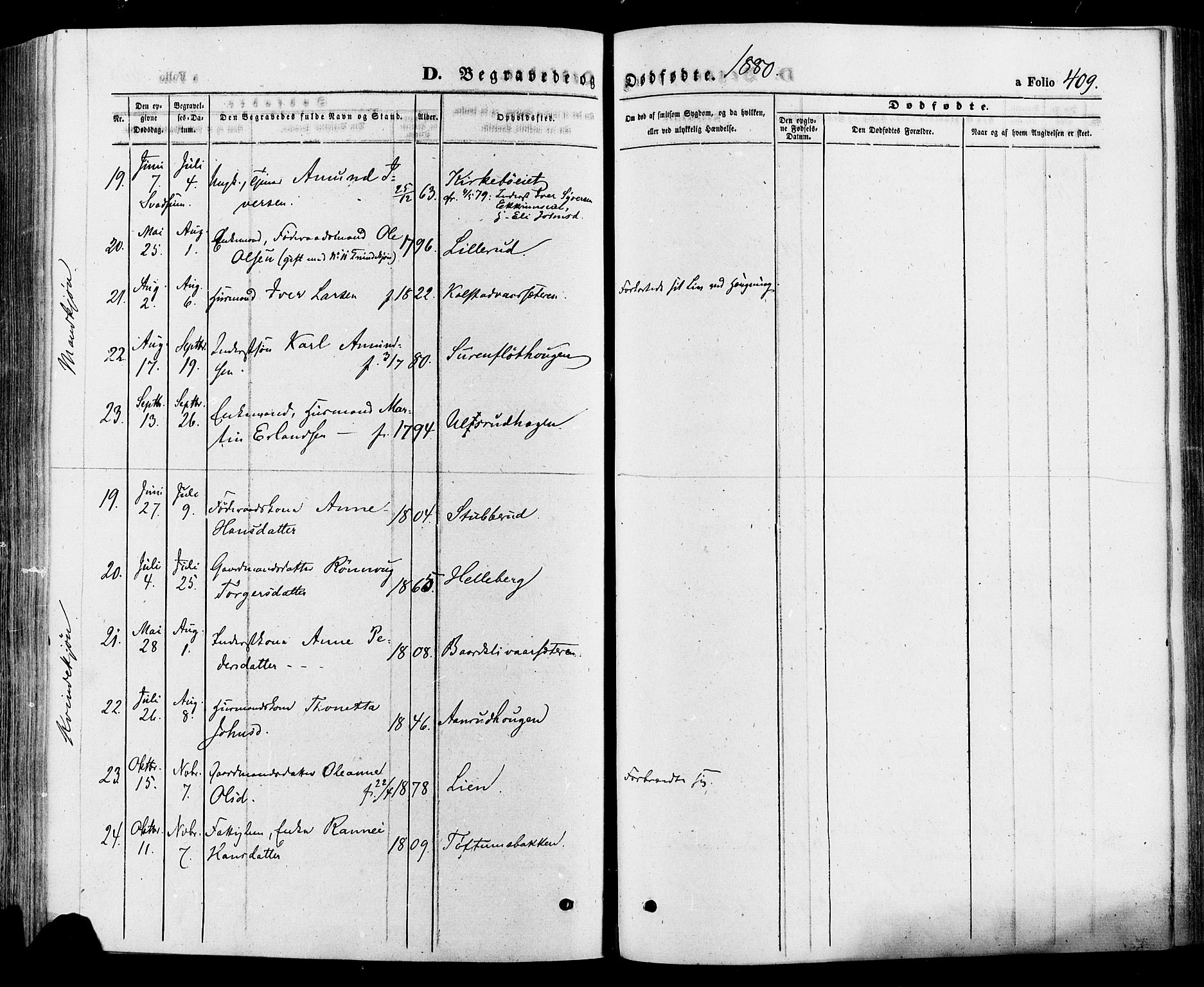 Gausdal prestekontor, SAH/PREST-090/H/Ha/Haa/L0010: Parish register (official) no. 10, 1867-1886, p. 409