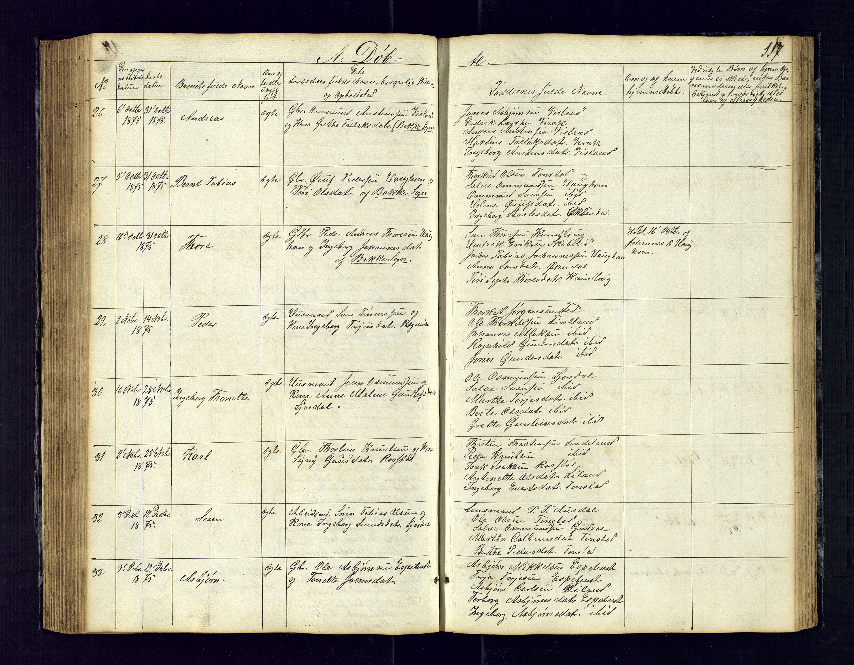 Sirdal sokneprestkontor, SAK/1111-0036/F/Fb/Fbb/L0002: Parish register (copy) no. B-2, 1848-1878, p. 117