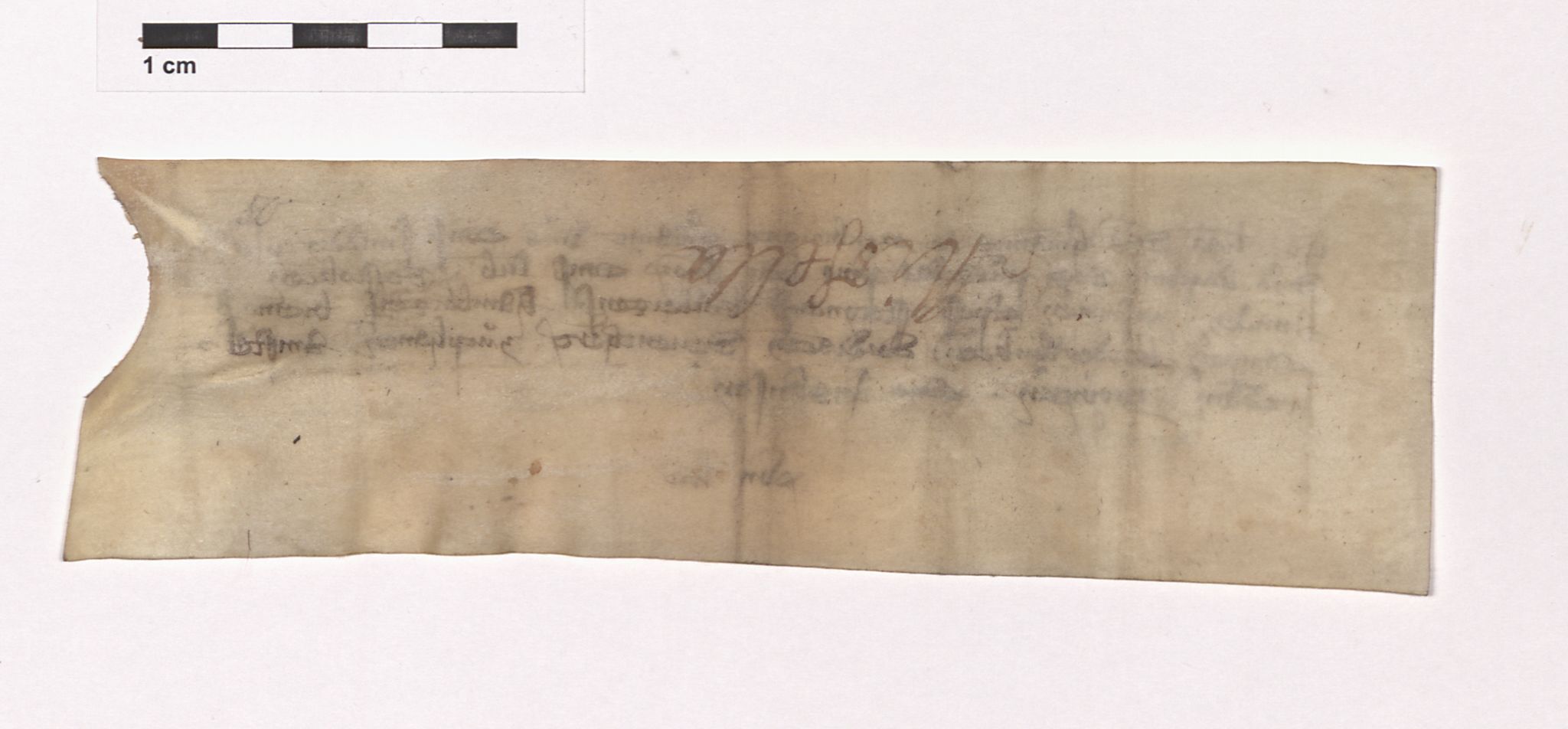 07.1 Urkunden, 3 Auswärtige Beziehungen (Externa), AHL/-/21: Norwegen (Norvagica); Kontor zu Bergen, 1247-1747, p. 442
